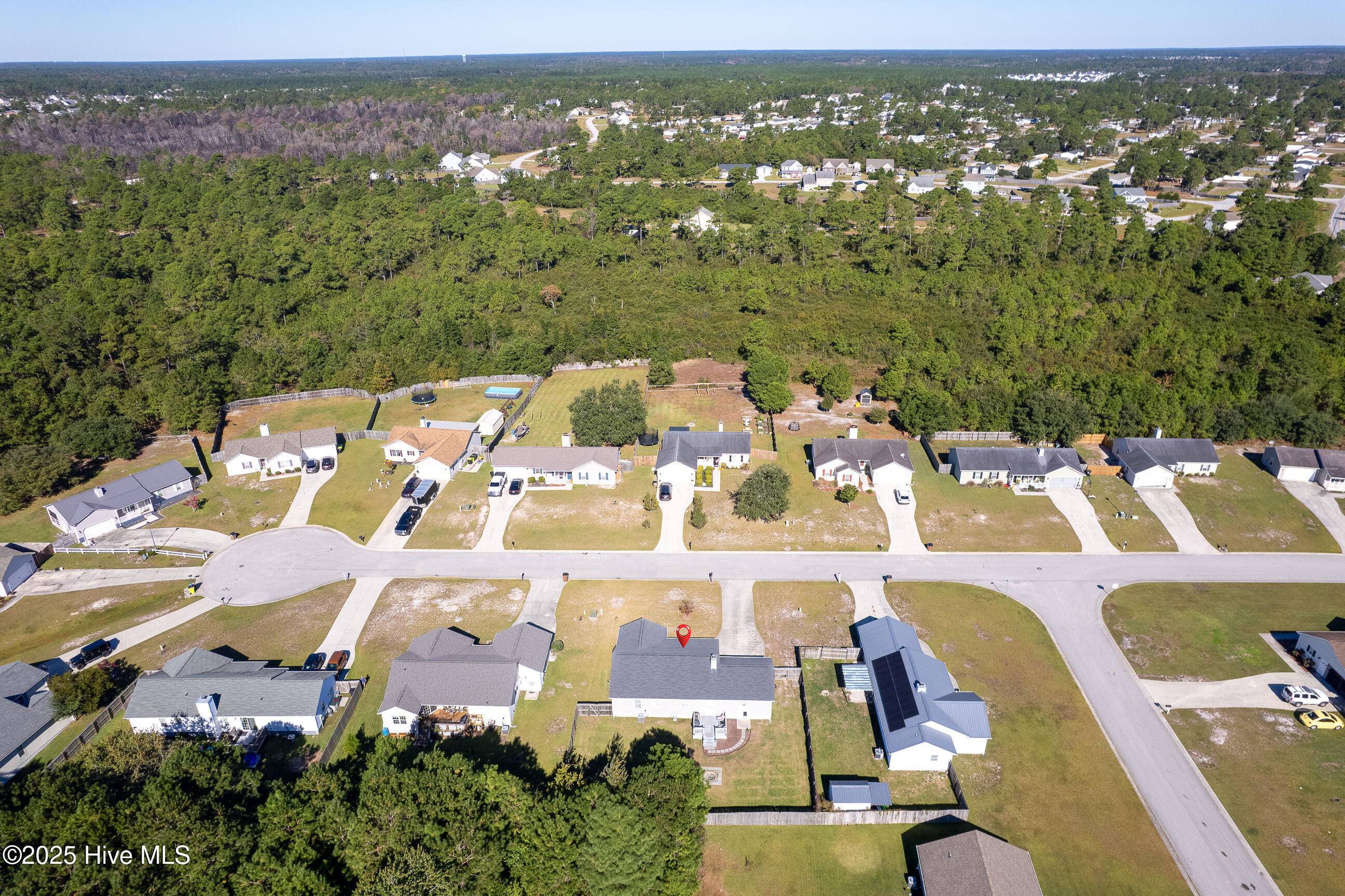 100541753 | Photo 31