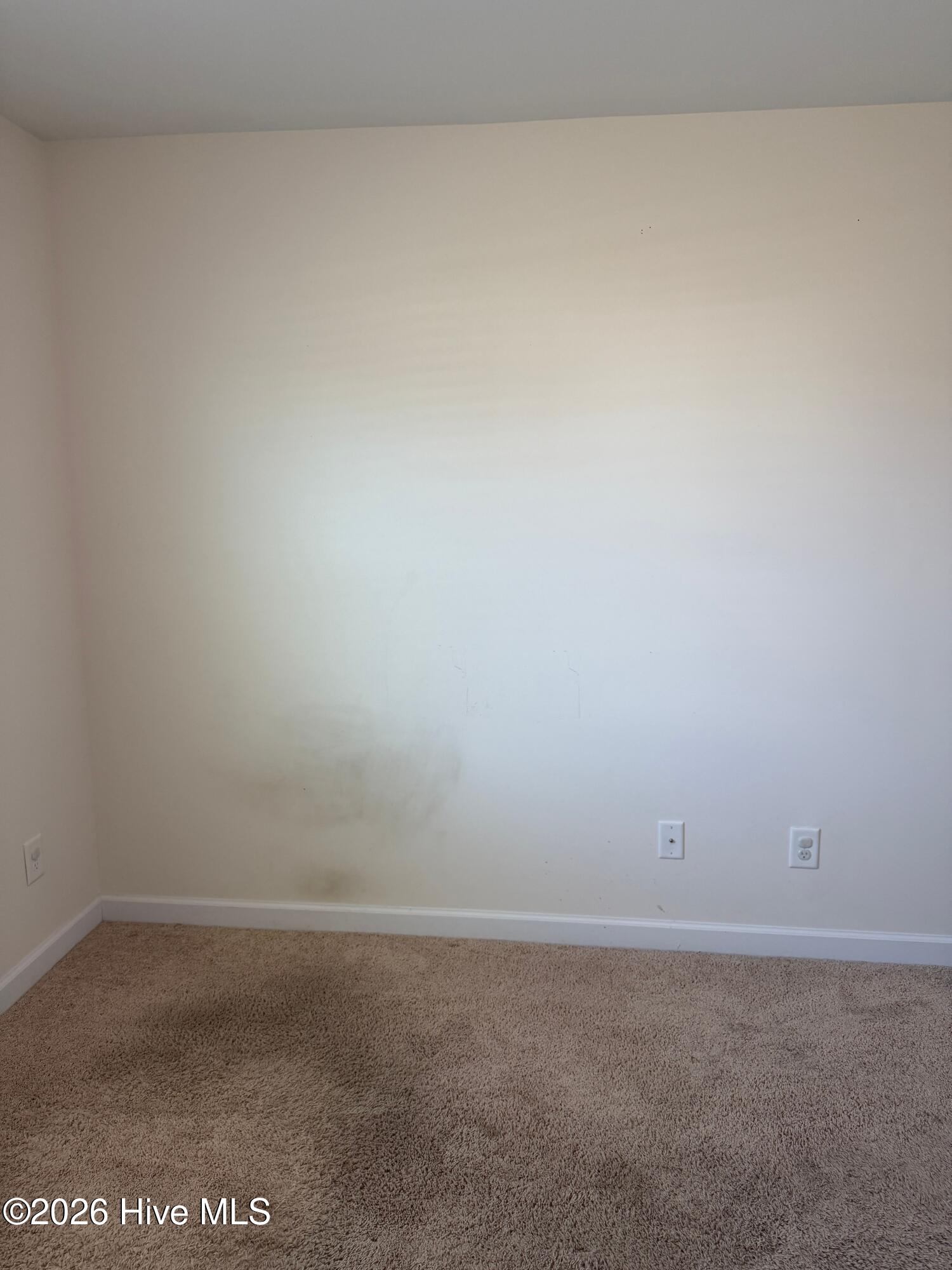 100563826 | Photo 19