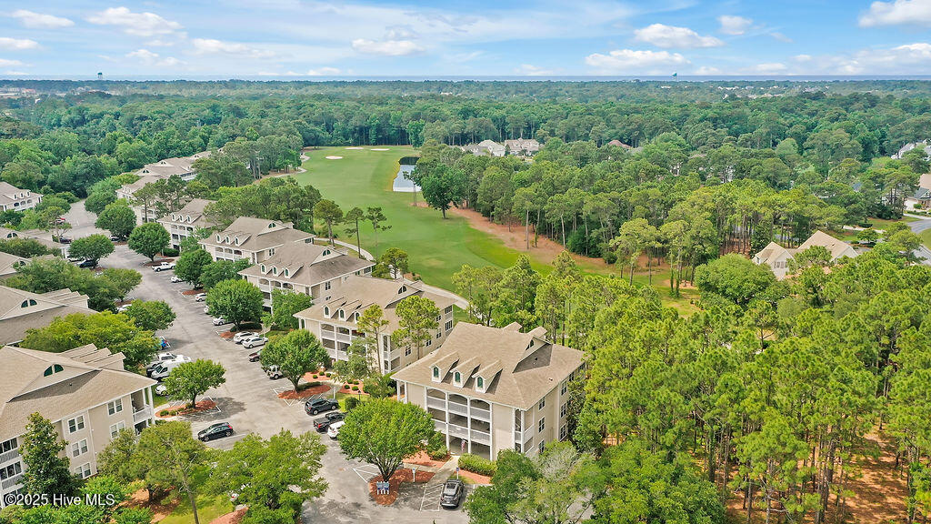 100554585 | Photo 40