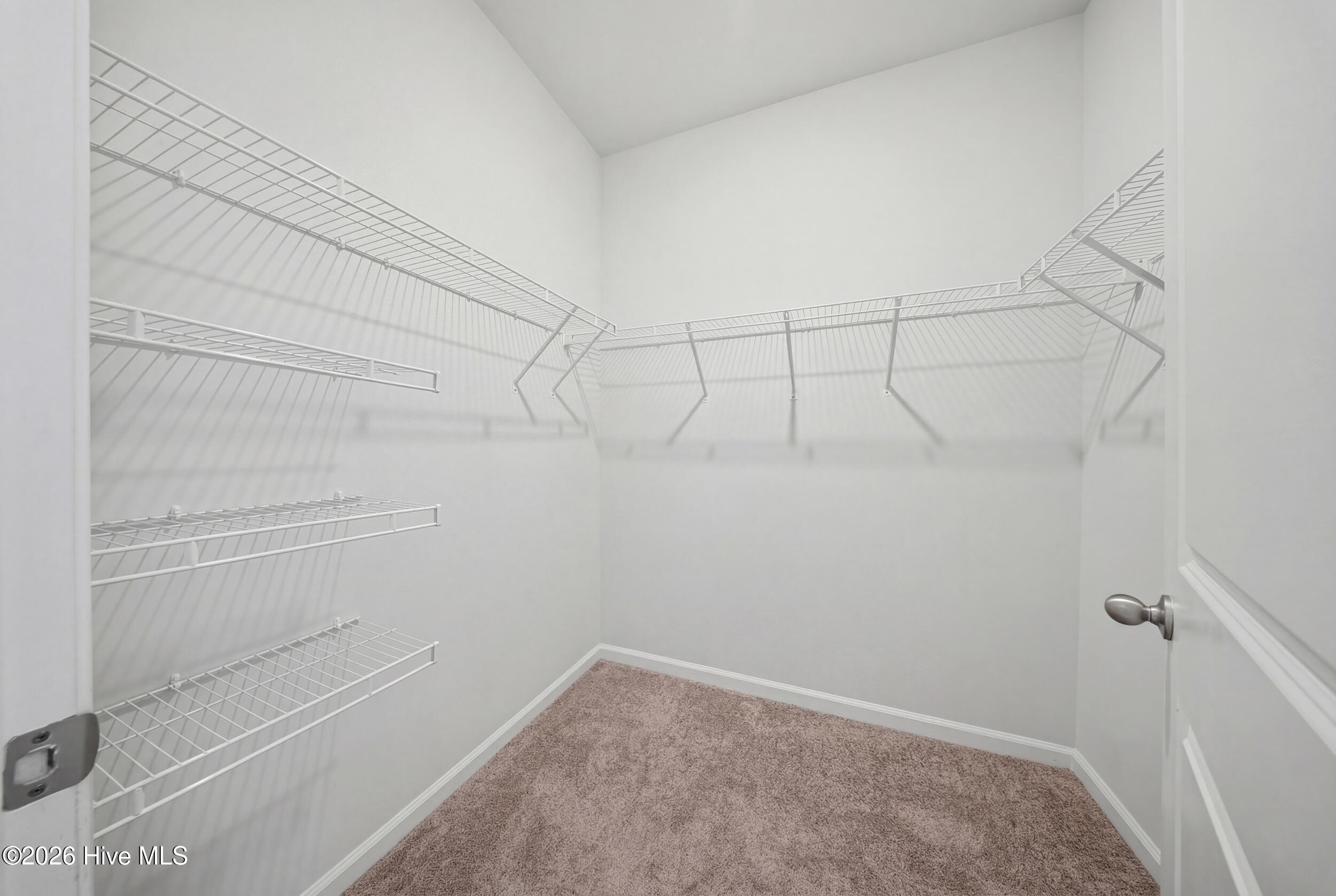 100565594 | Photo 38