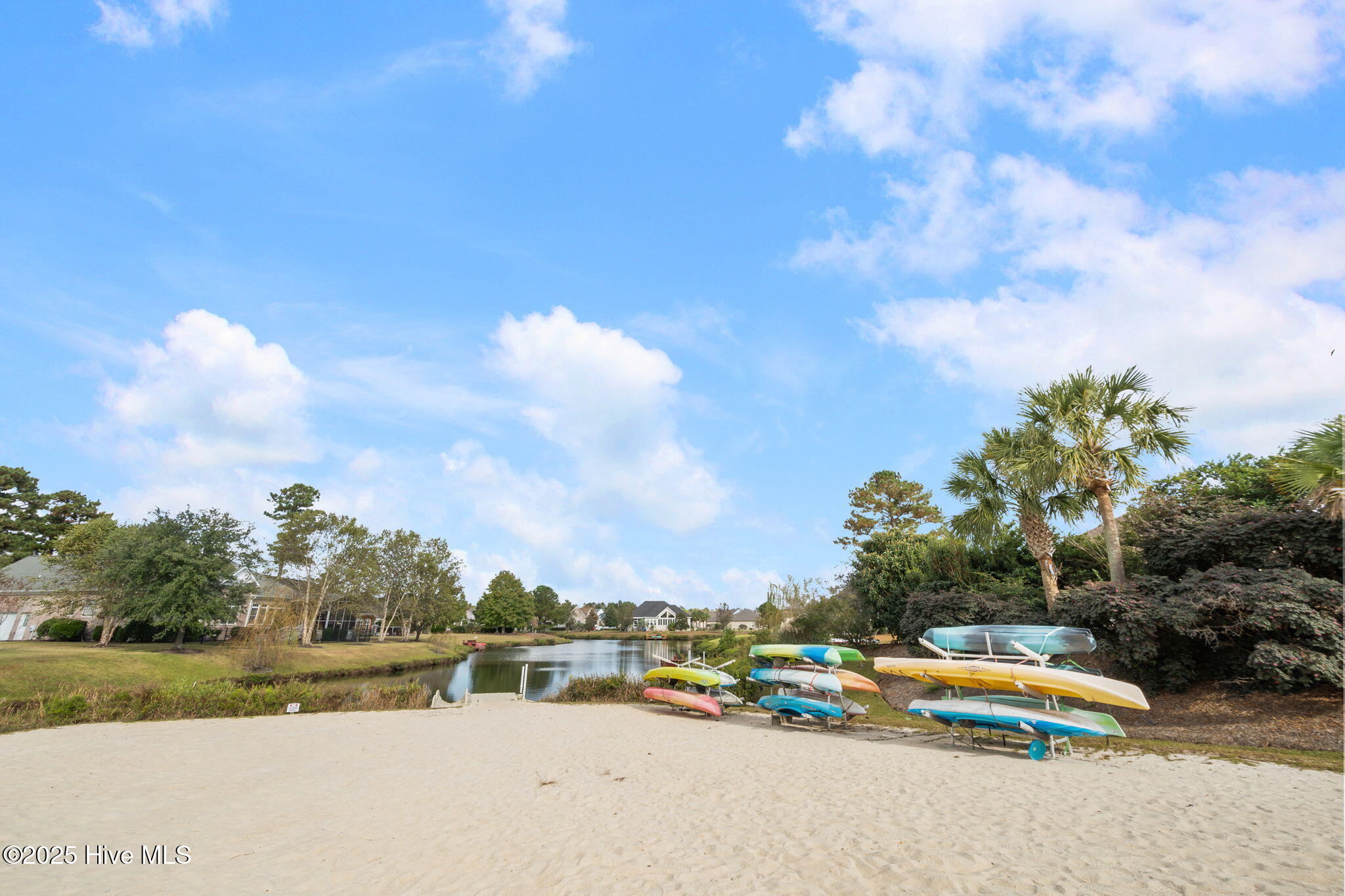 100535127 | Photo 41