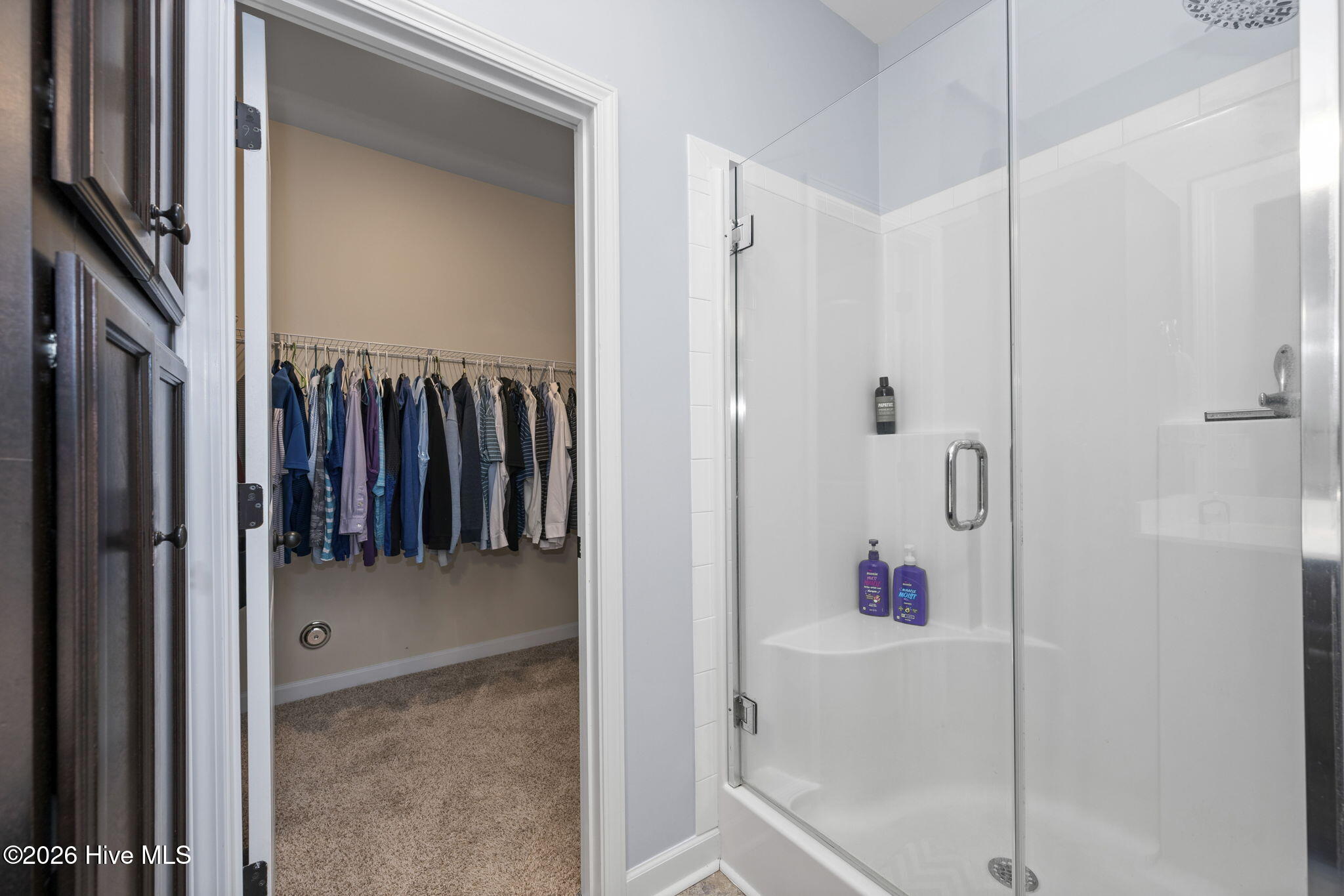 100558397 | Photo 24