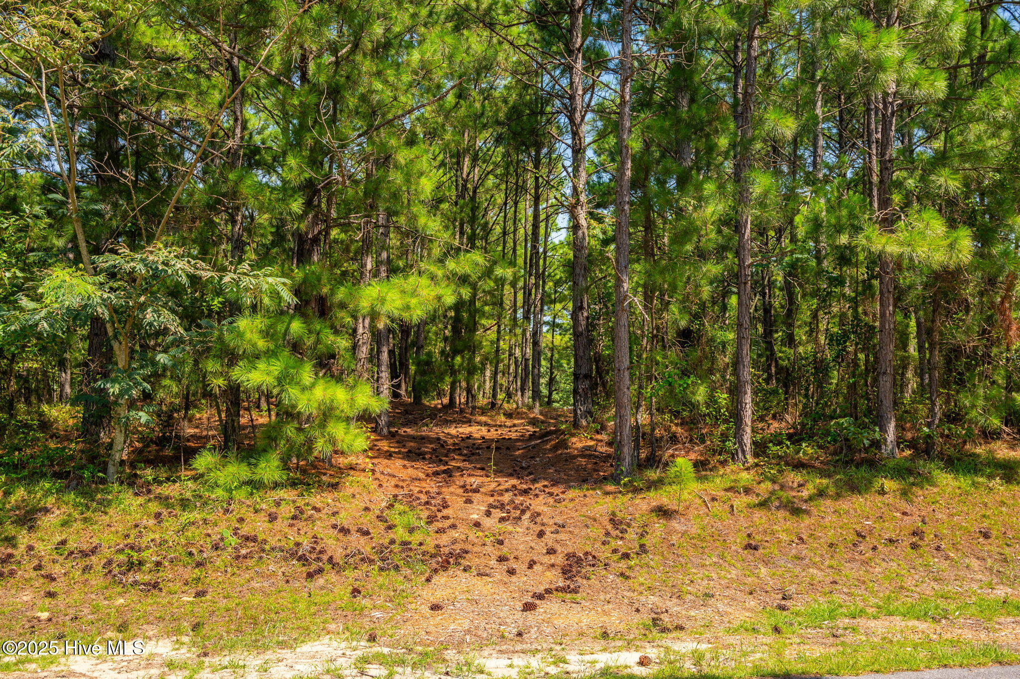 115-B Jarvis Landing Drive UNIT 35, Jarvisburg, NC, 27947