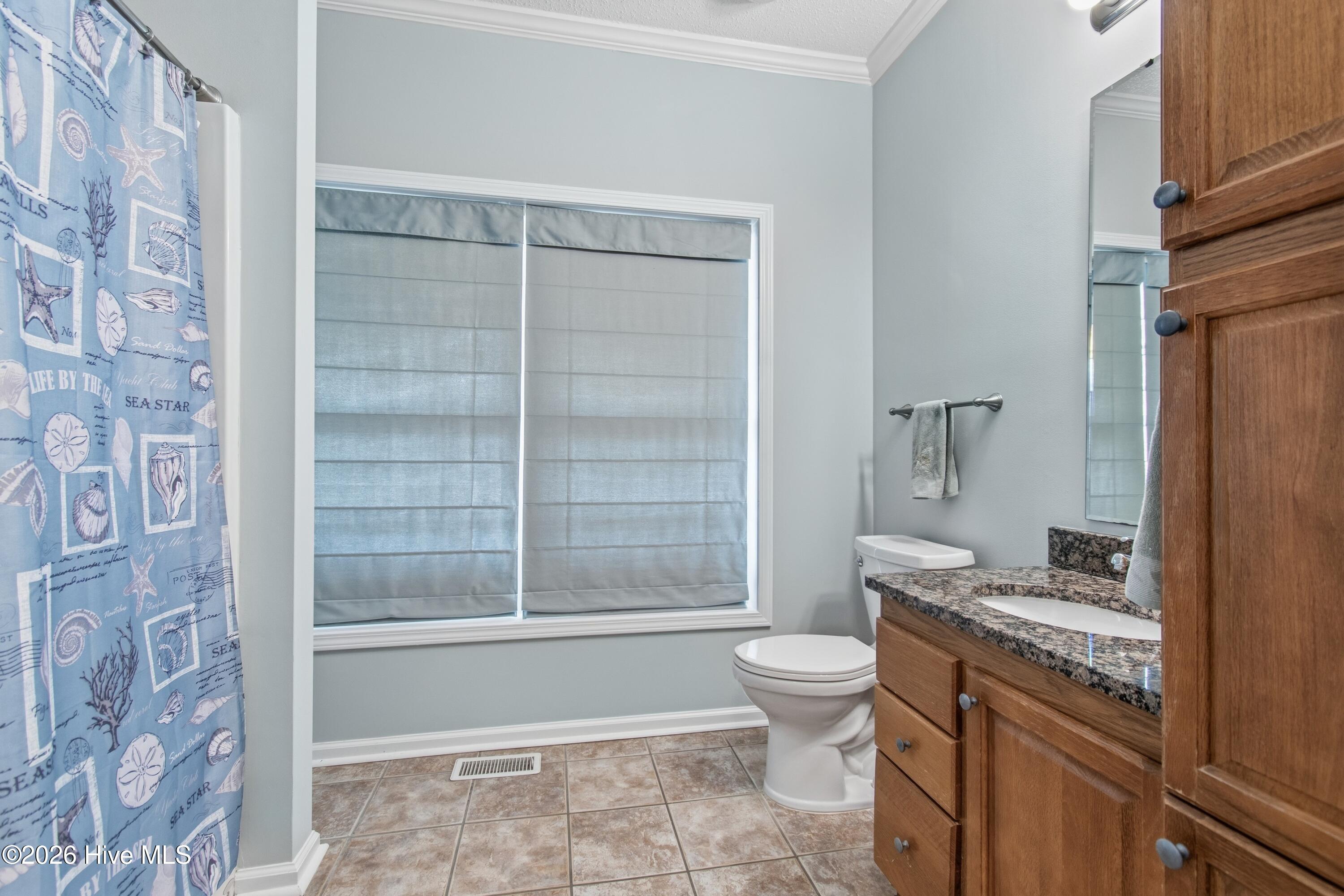 100556655 | Photo 40