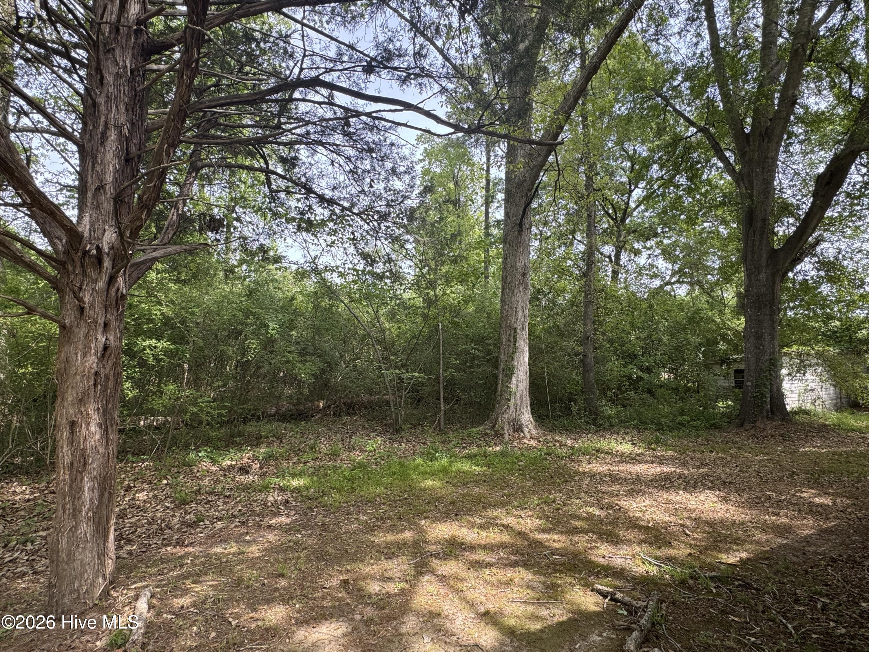 100565744 | Photo 16