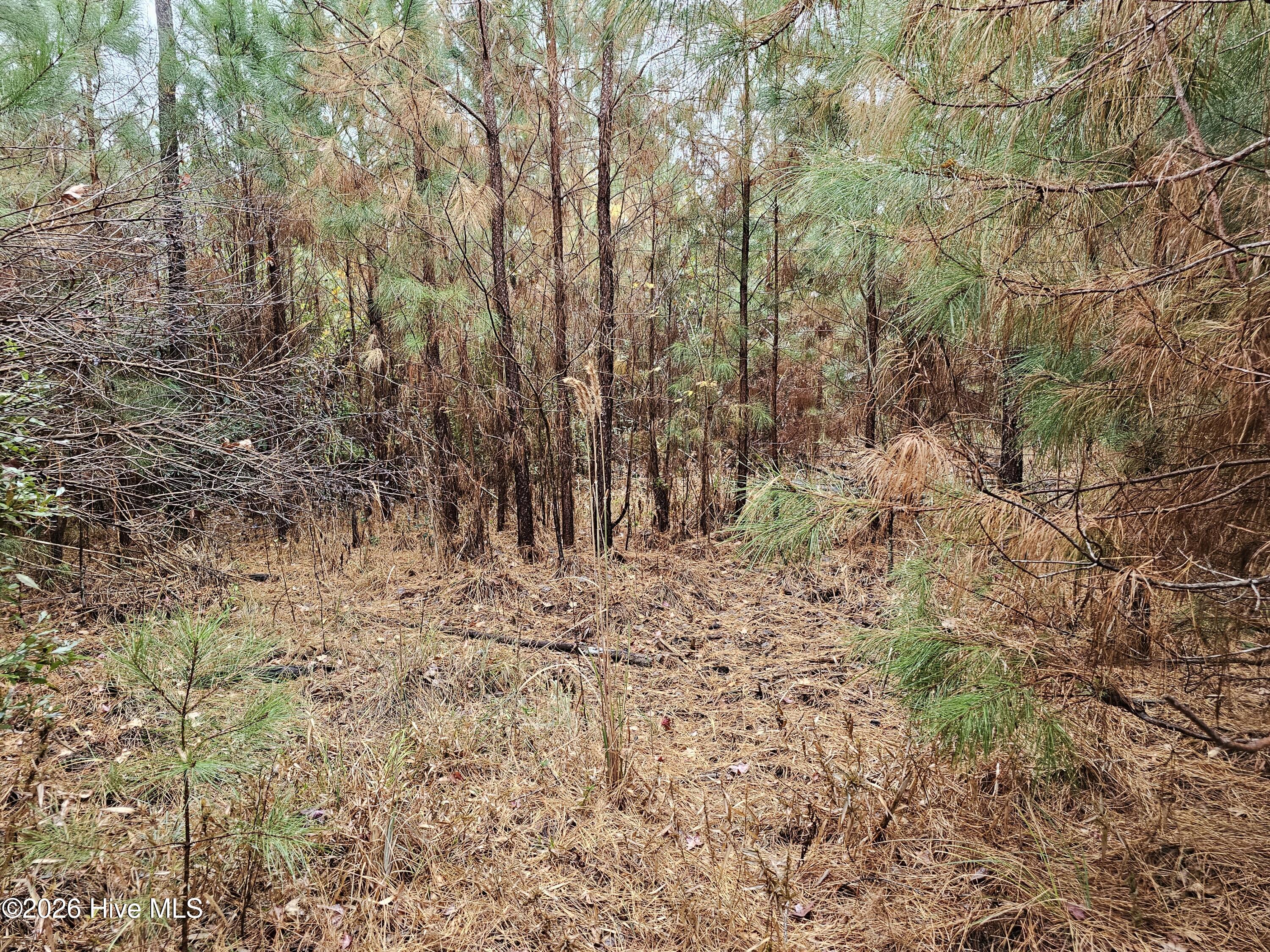 Homes for sale in Bayboro, NC | 0 Nc-304, Bayboro, NC 28515 | MLS# 100552853