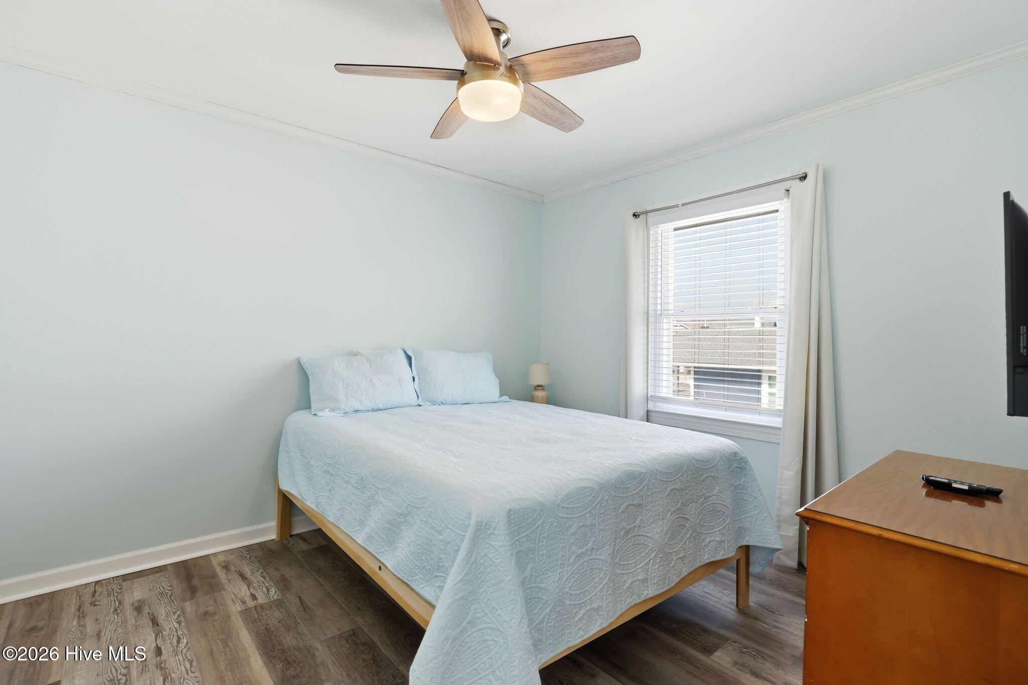 100558178 | Photo 42