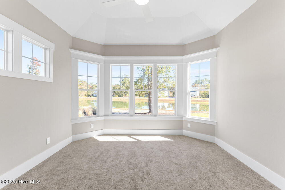 100541579 | Photo 13