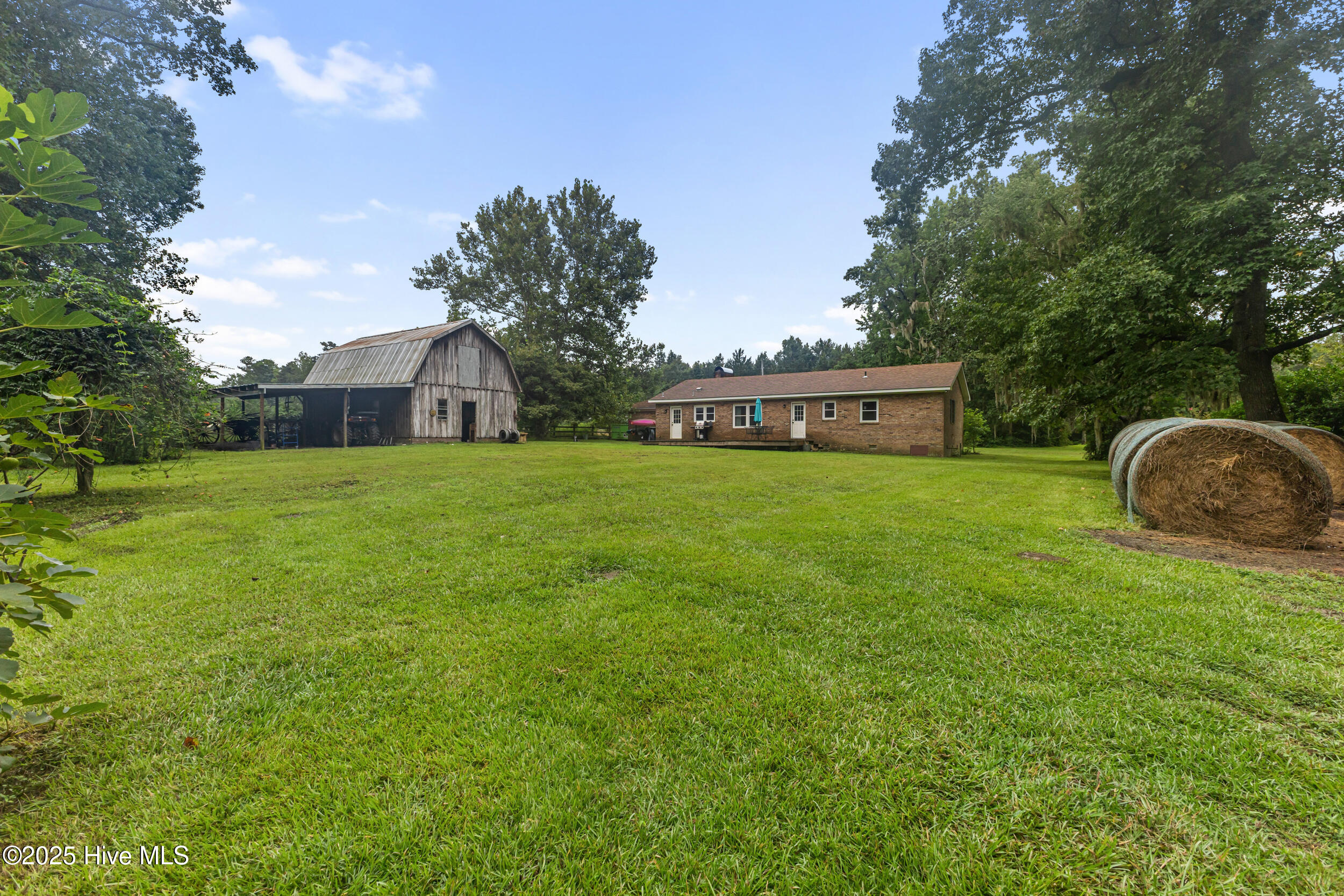 100524507 | Photo 39