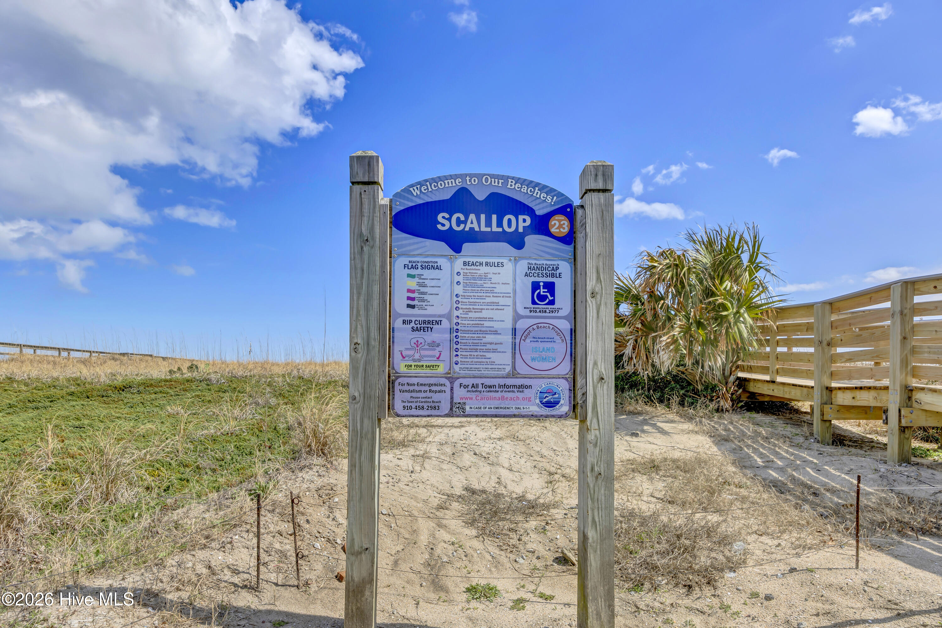 100559910 | Photo 37