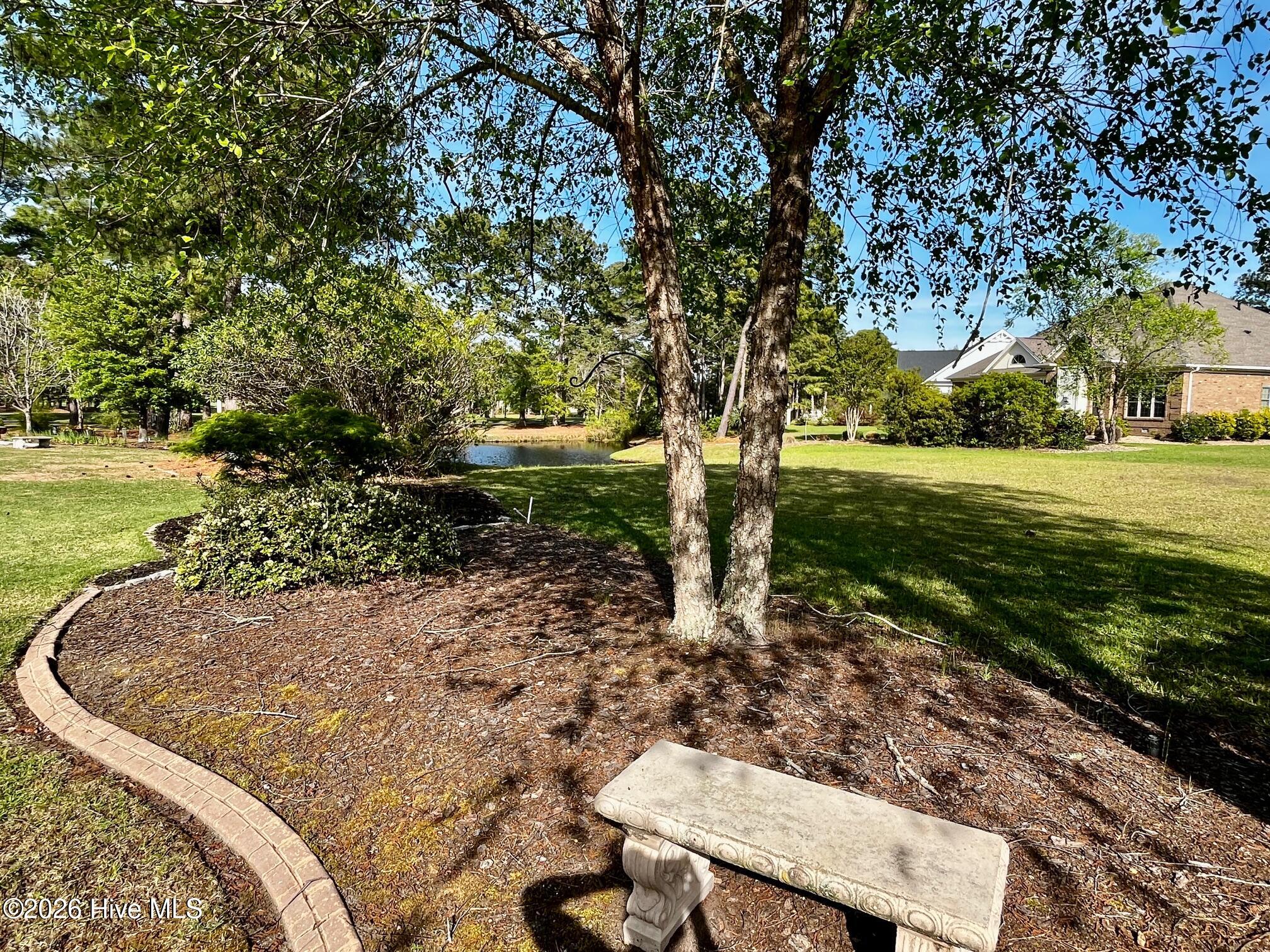 100566129 | Photo 46