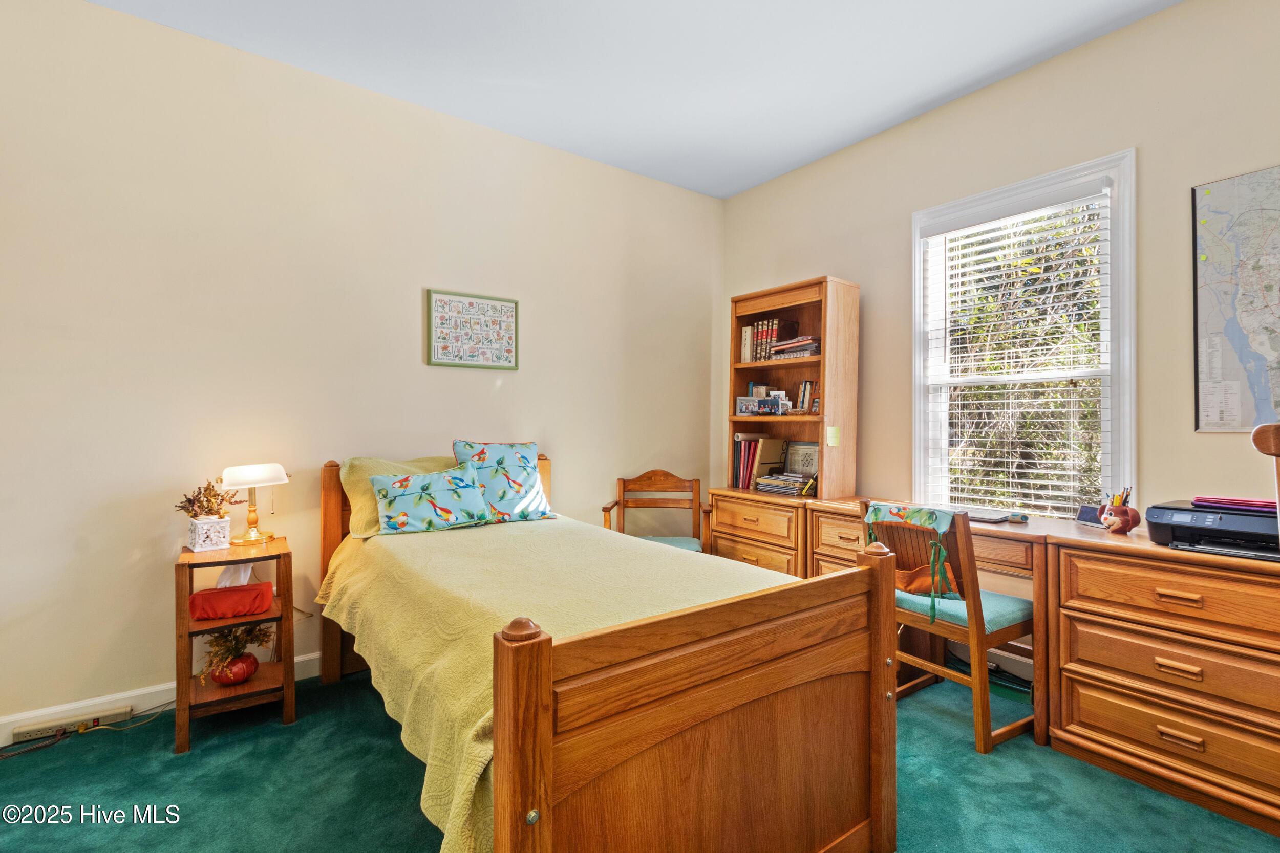 100541075 | Photo 12