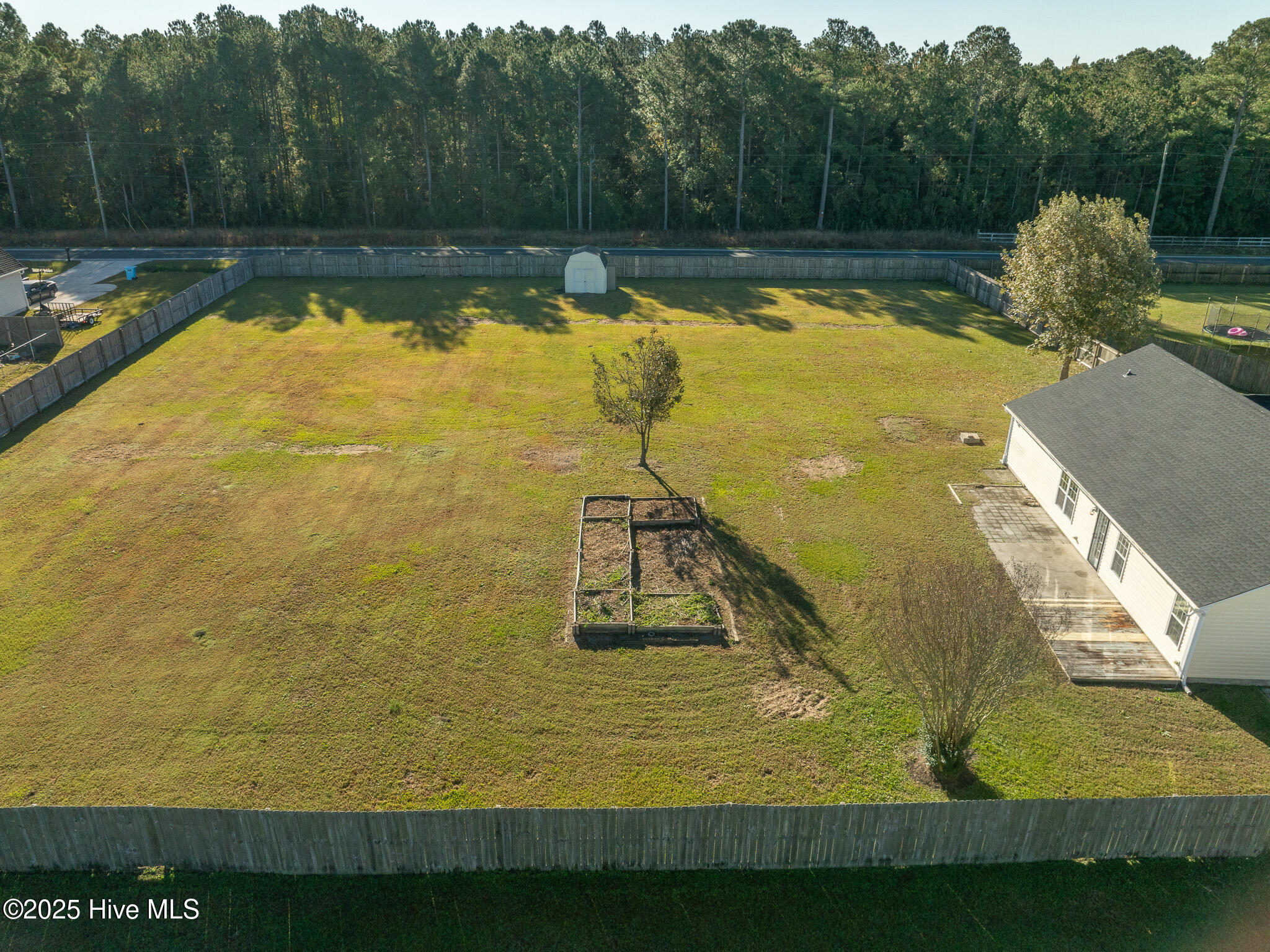 100539227 | Photo 45