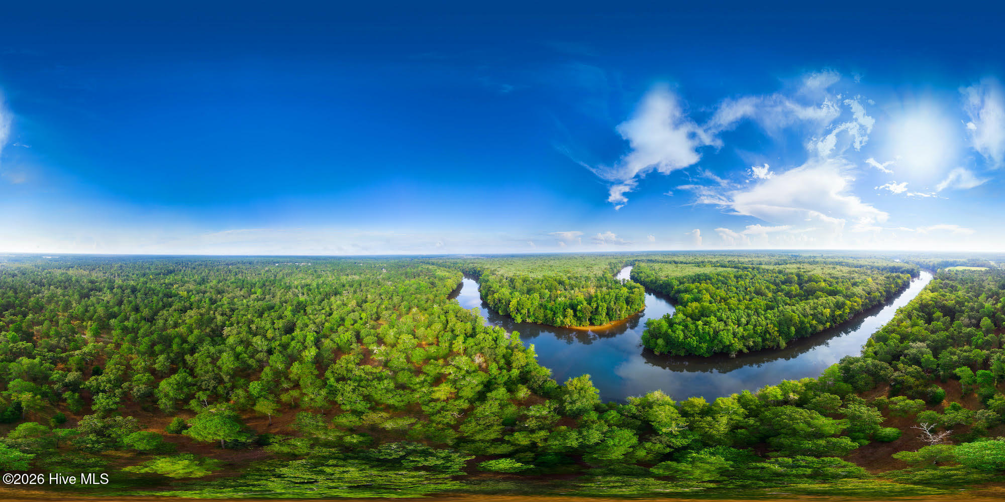 100564118 | Photo 20