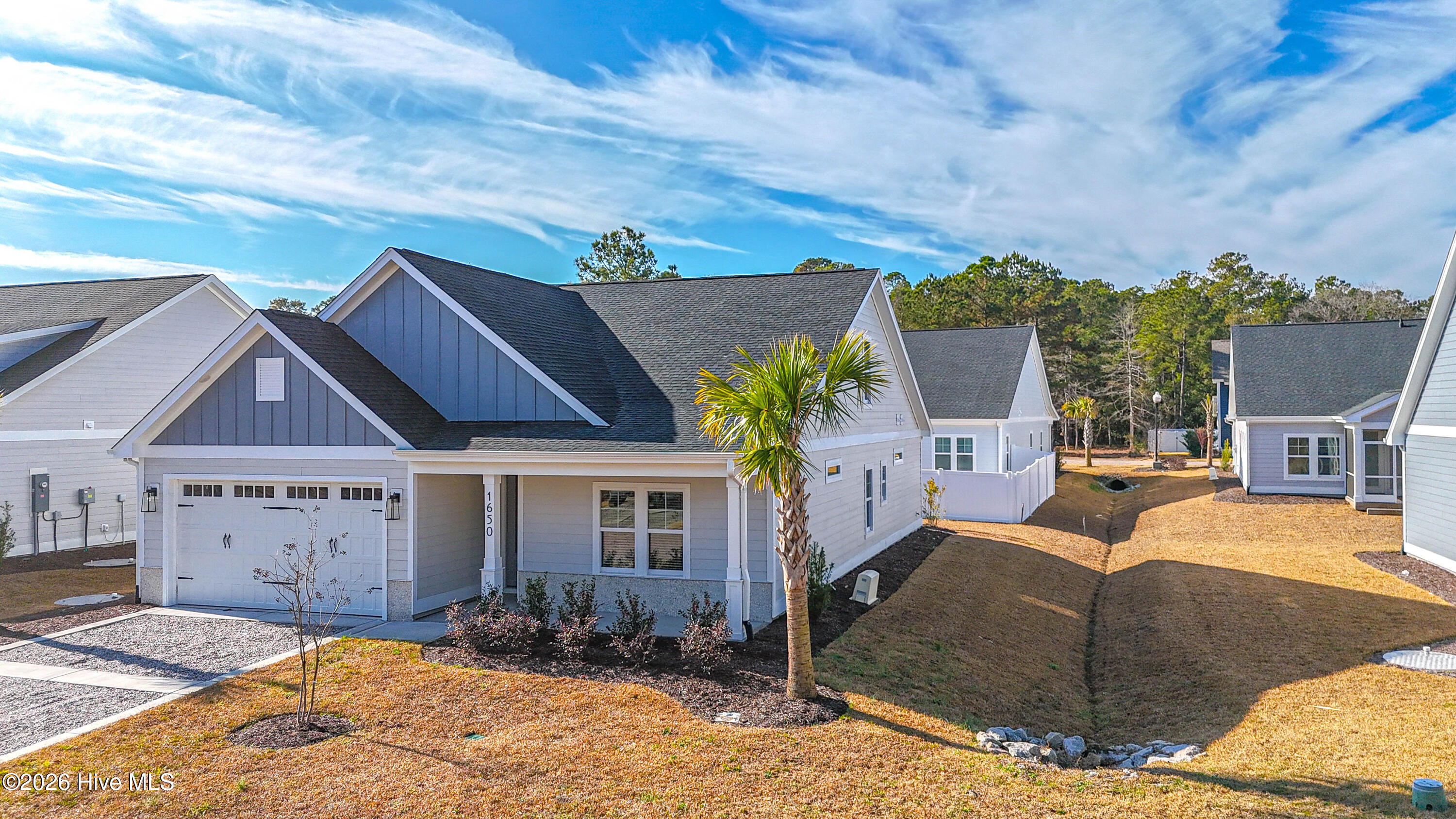 100548241 | Photo 49