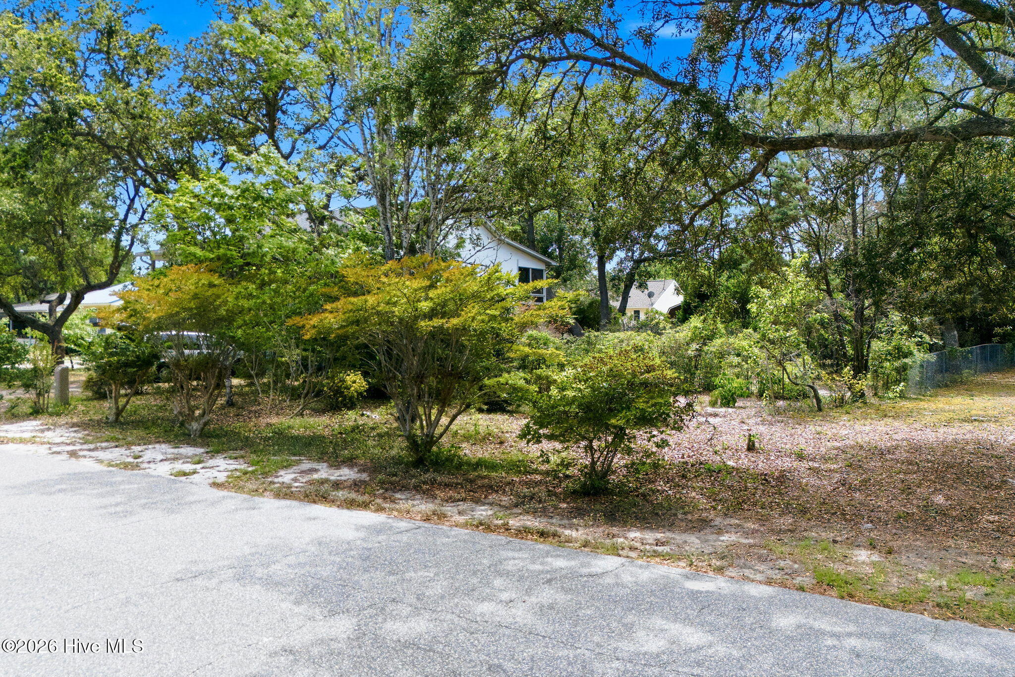 Shirley Johnson - MLS Number: 100566902