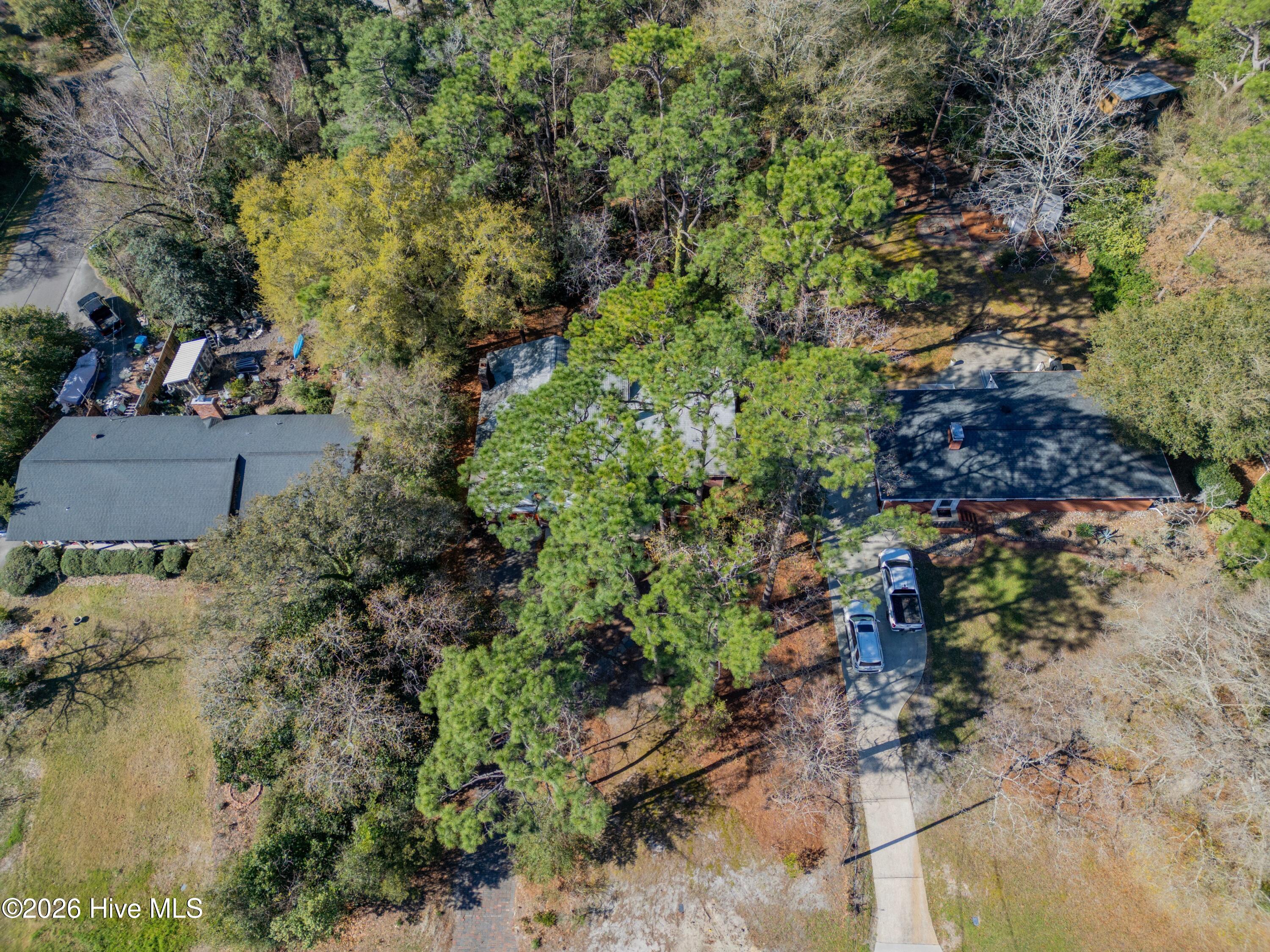 100560709 | Photo 40