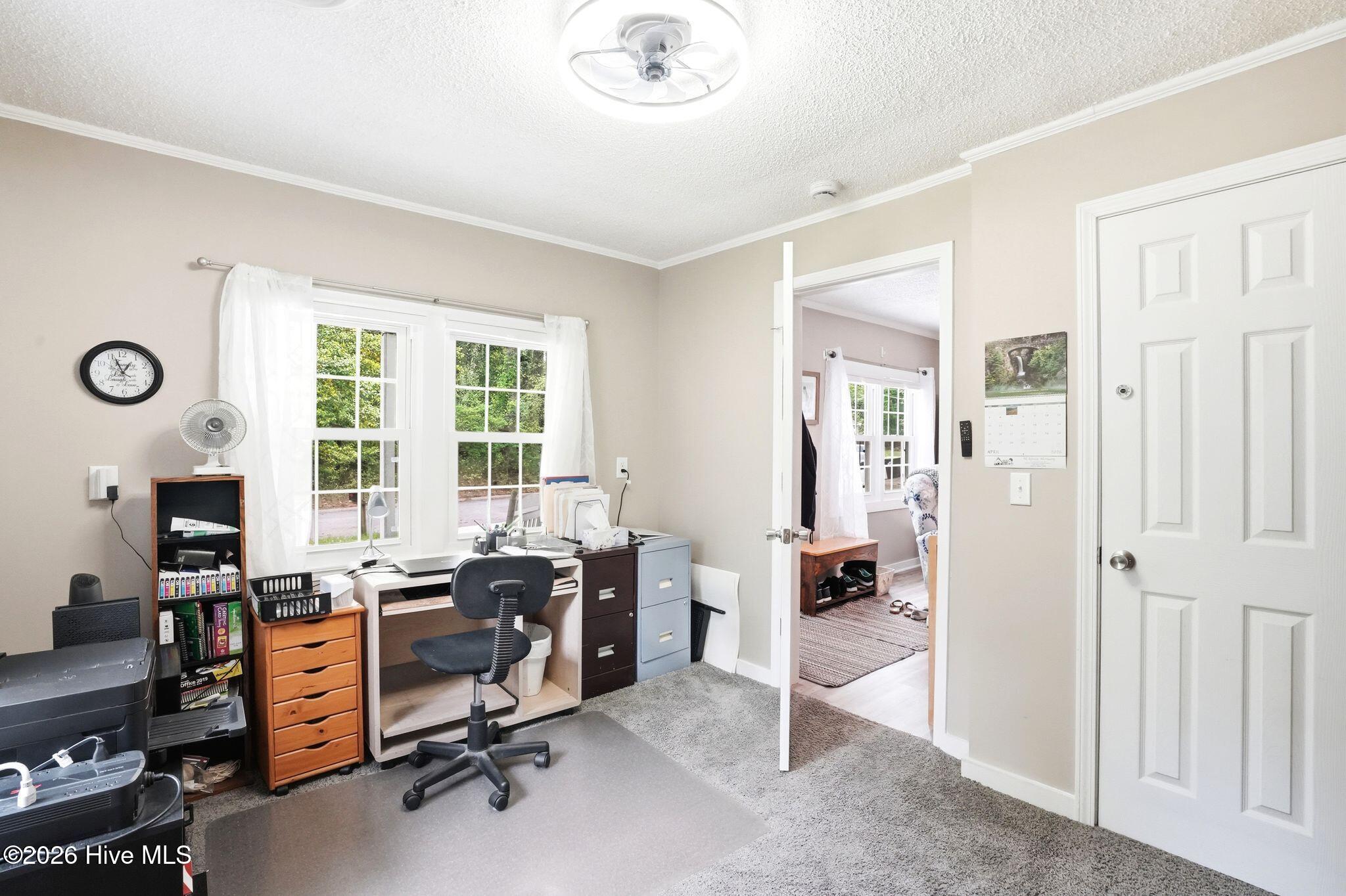 100565882 | Photo 23