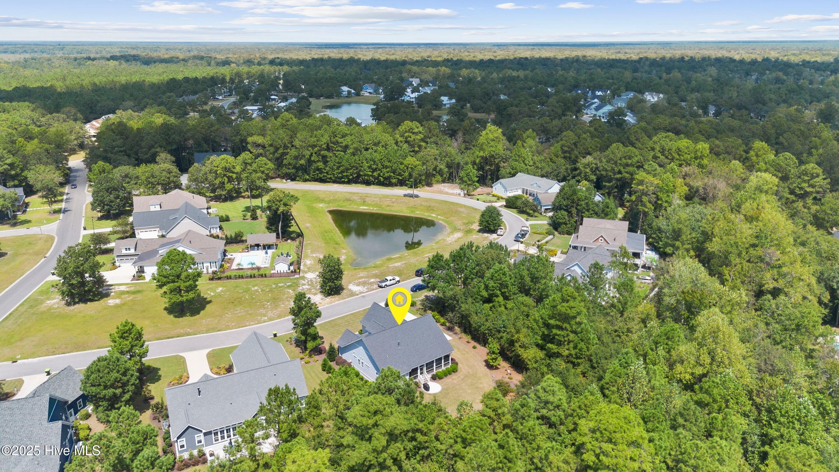 100527117 | Photo 56