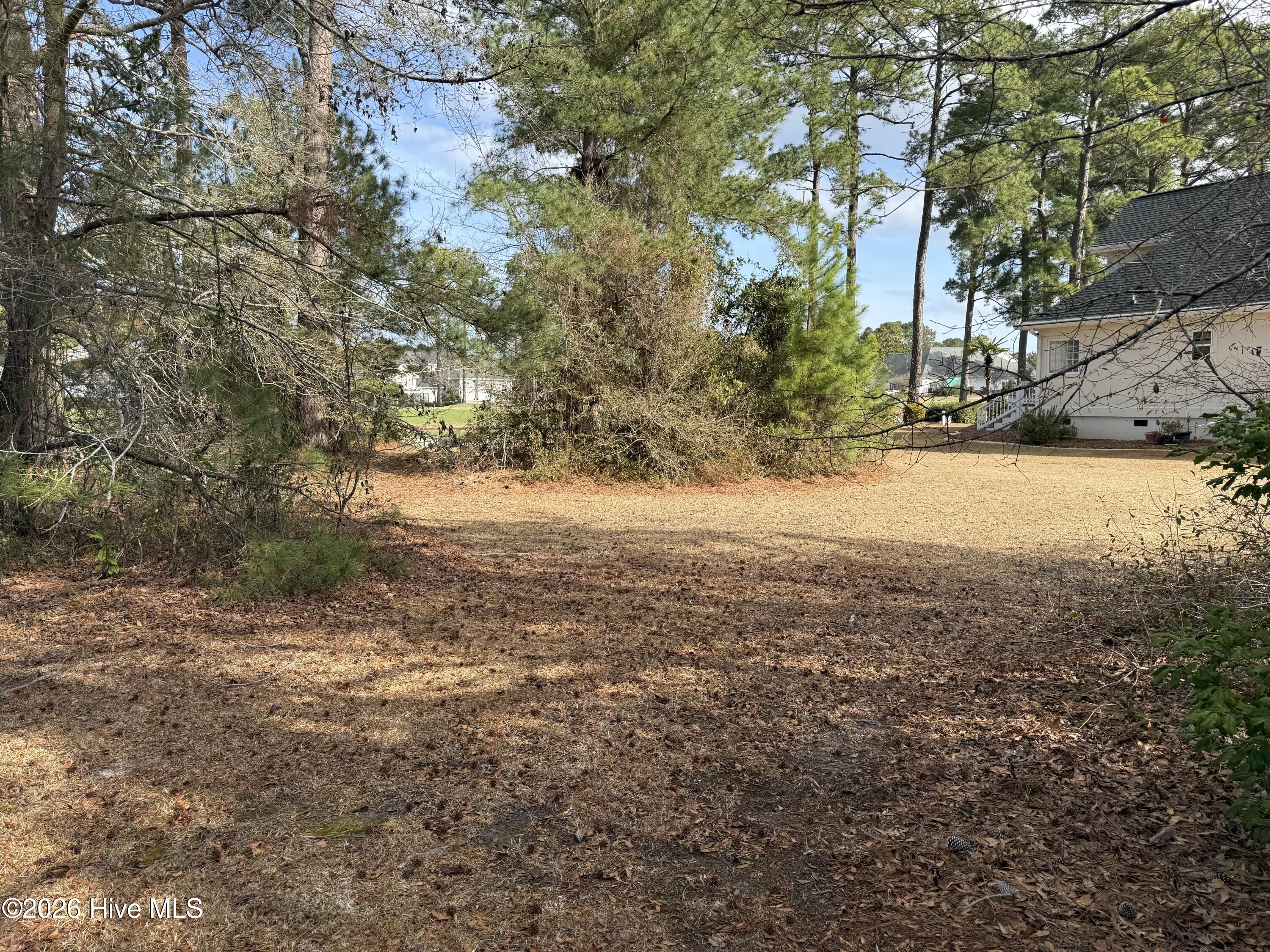 100558315 | Photo 13