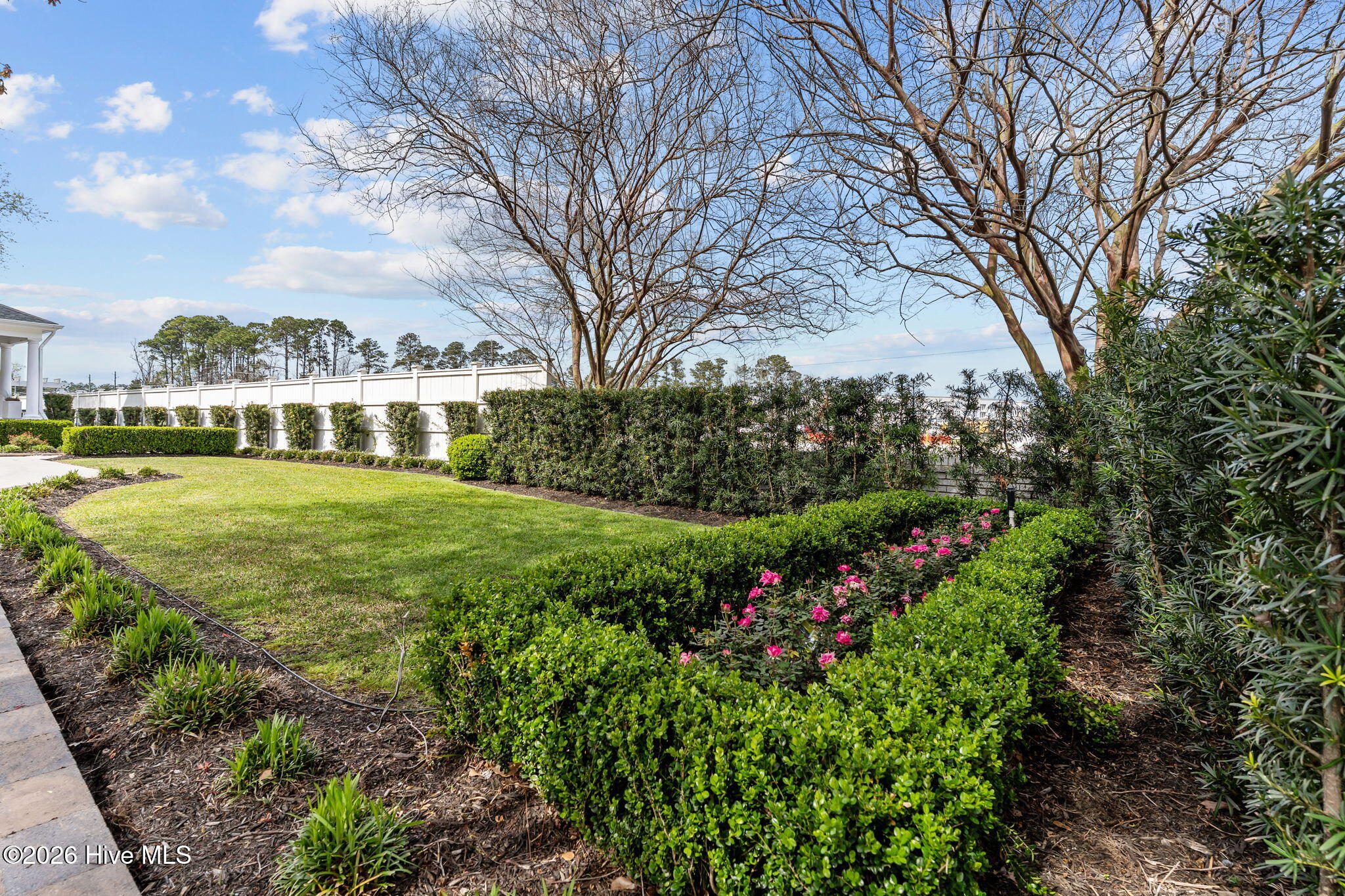 100561575 | Photo 83