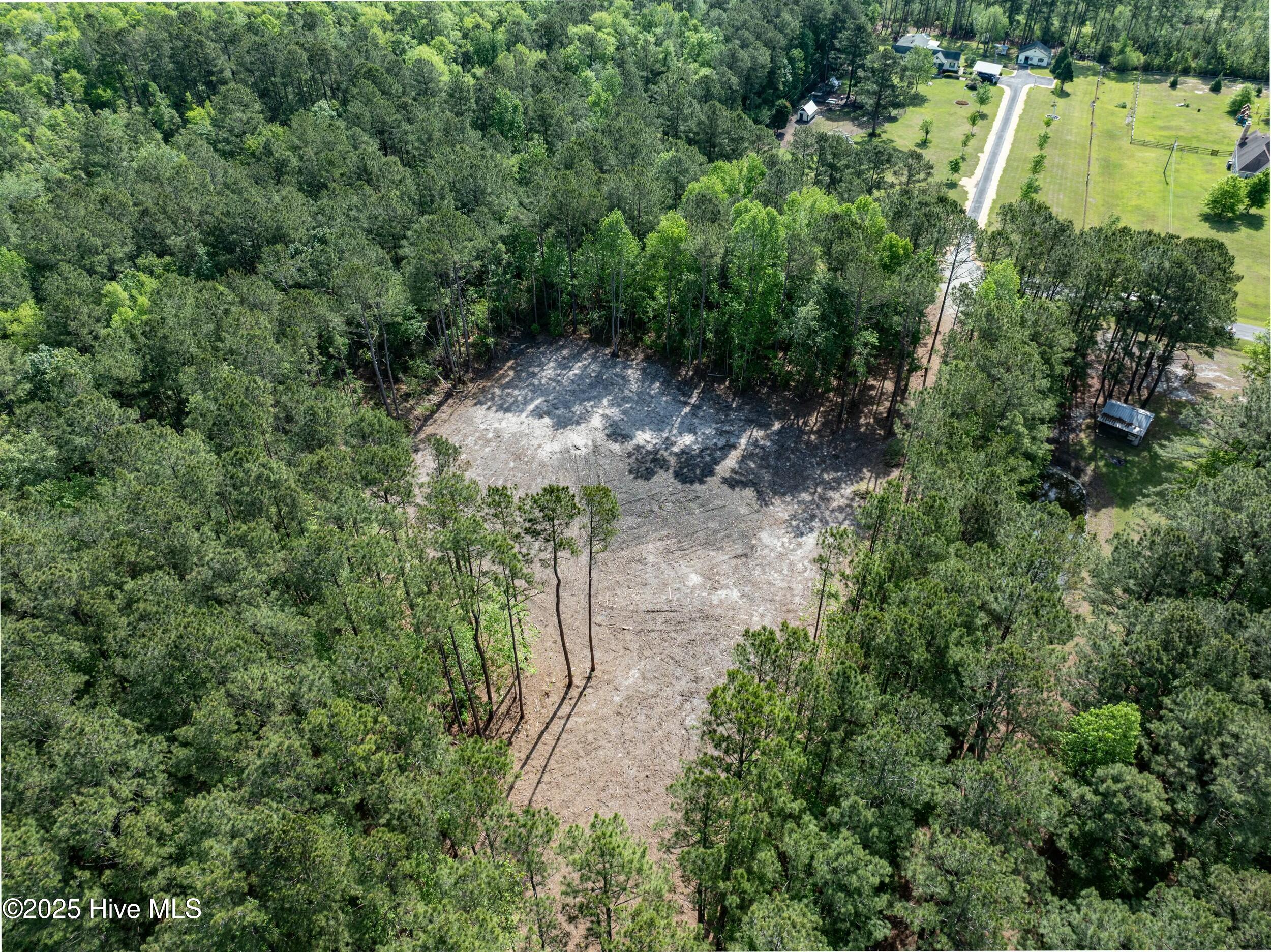 100503919 | Photo 20