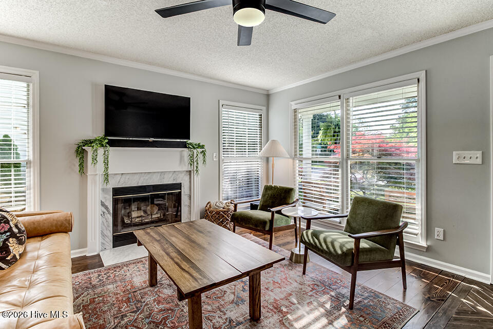 100567381 | Photo 12