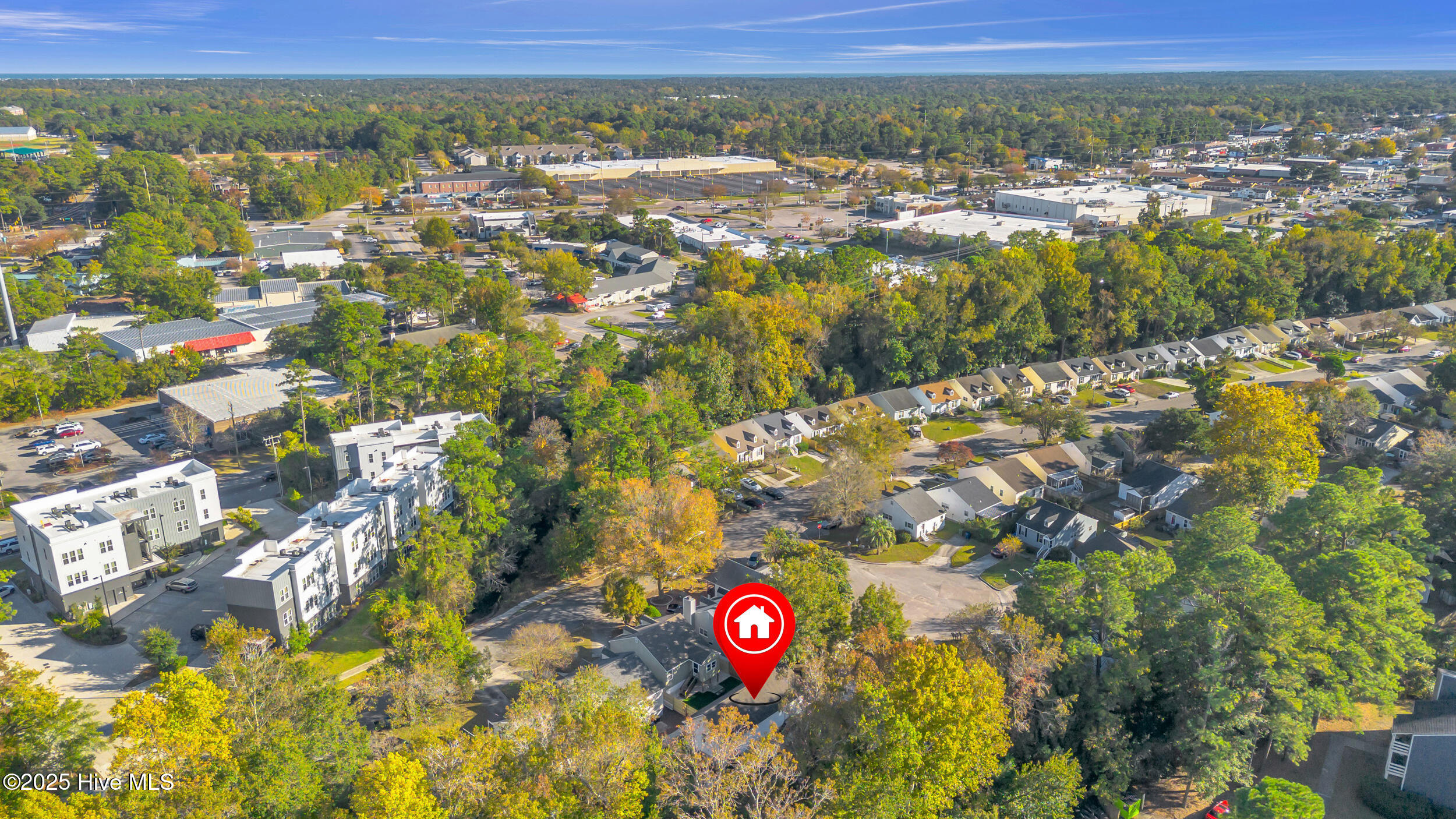 100540168 | Photo 45