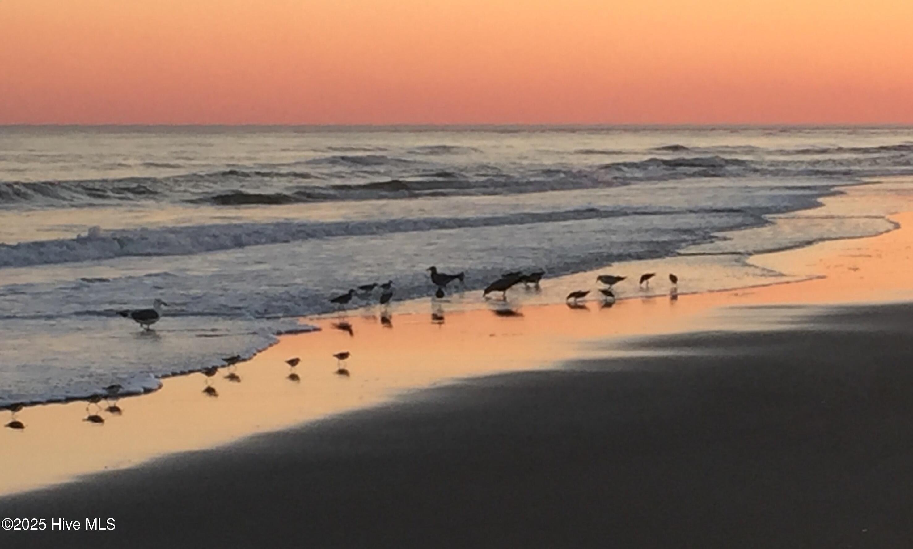 100518797 | Photo 51