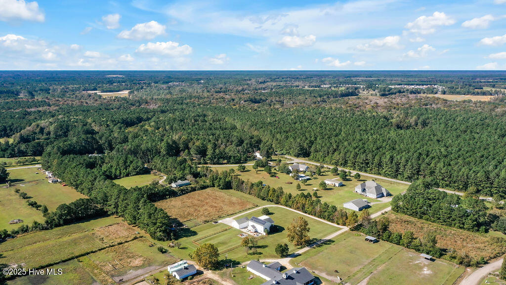 100537845 | Photo 59