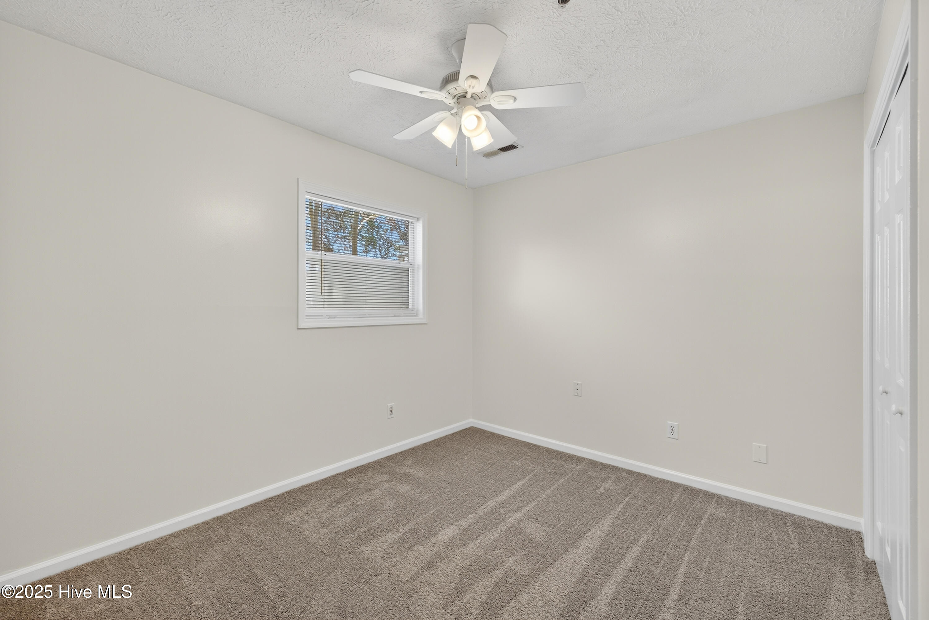 100541099 | Photo 14