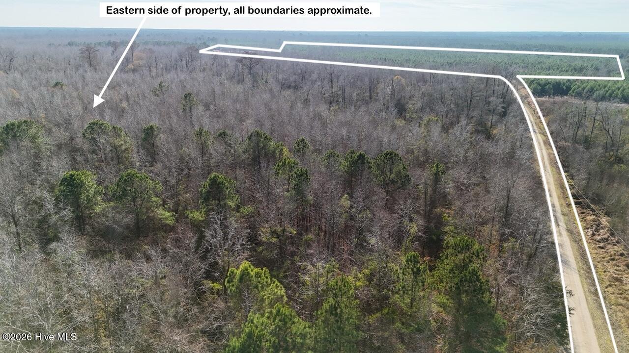 Homes for sale in Maysville, NC | 0 White Oak River Rd, Maysville, NC 28555 | MLS# 100549470