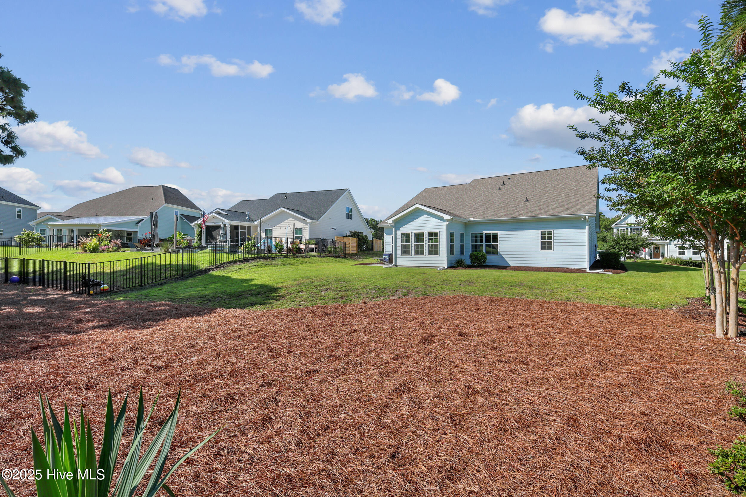 100521599 | Photo 31