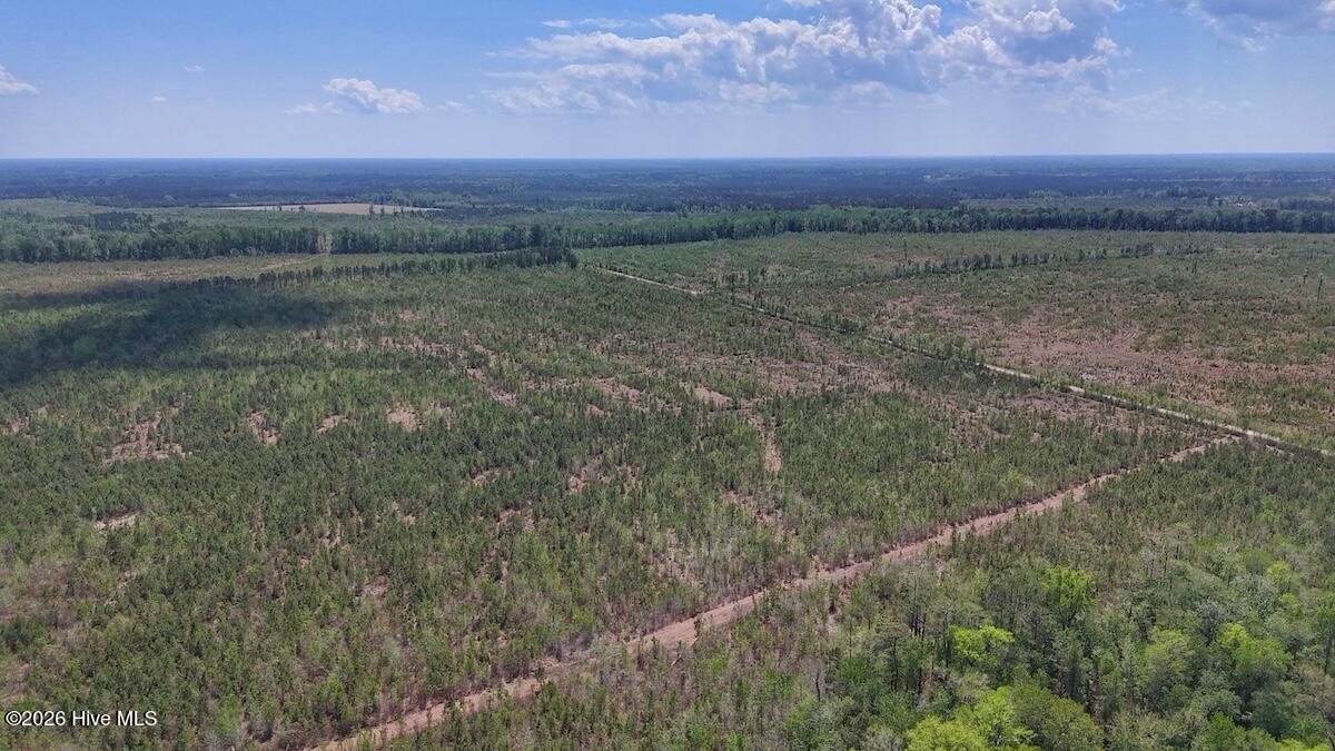 0 Guinea Mill Road, Ernul, NC, 28527