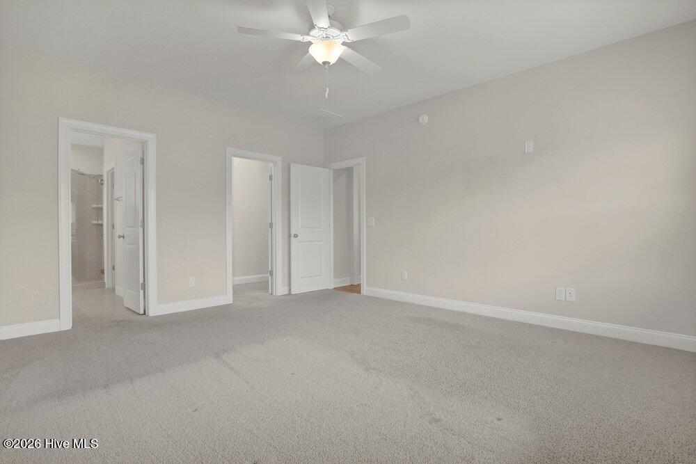 100558319 | Photo 15