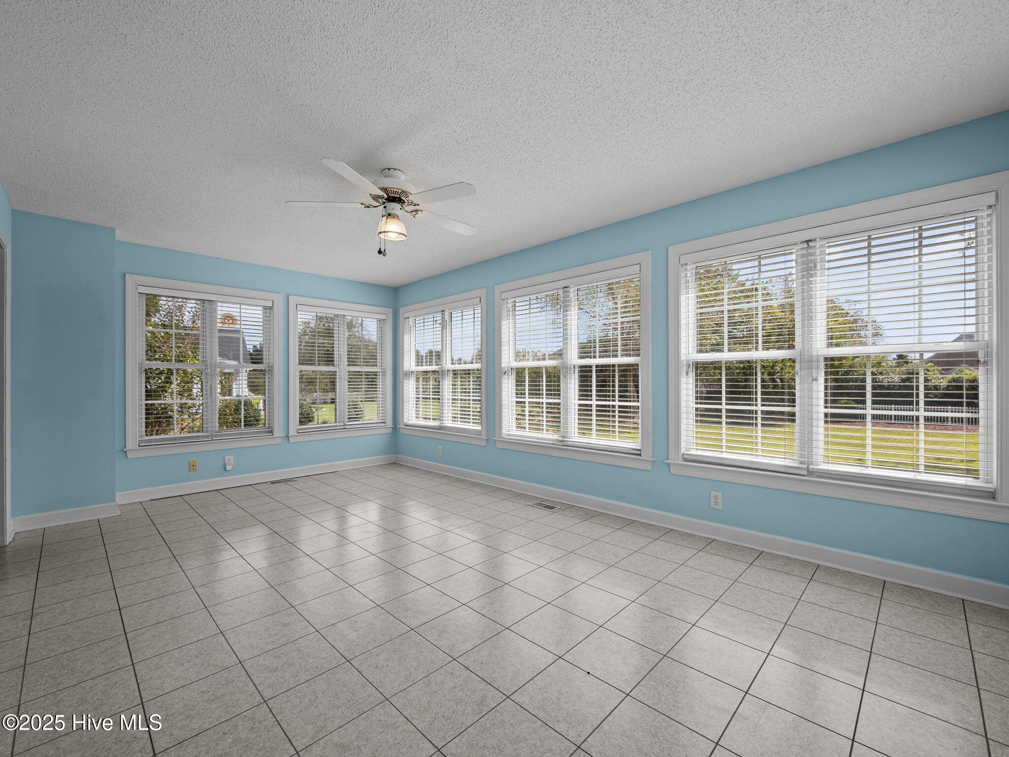 100534151 | Photo 19