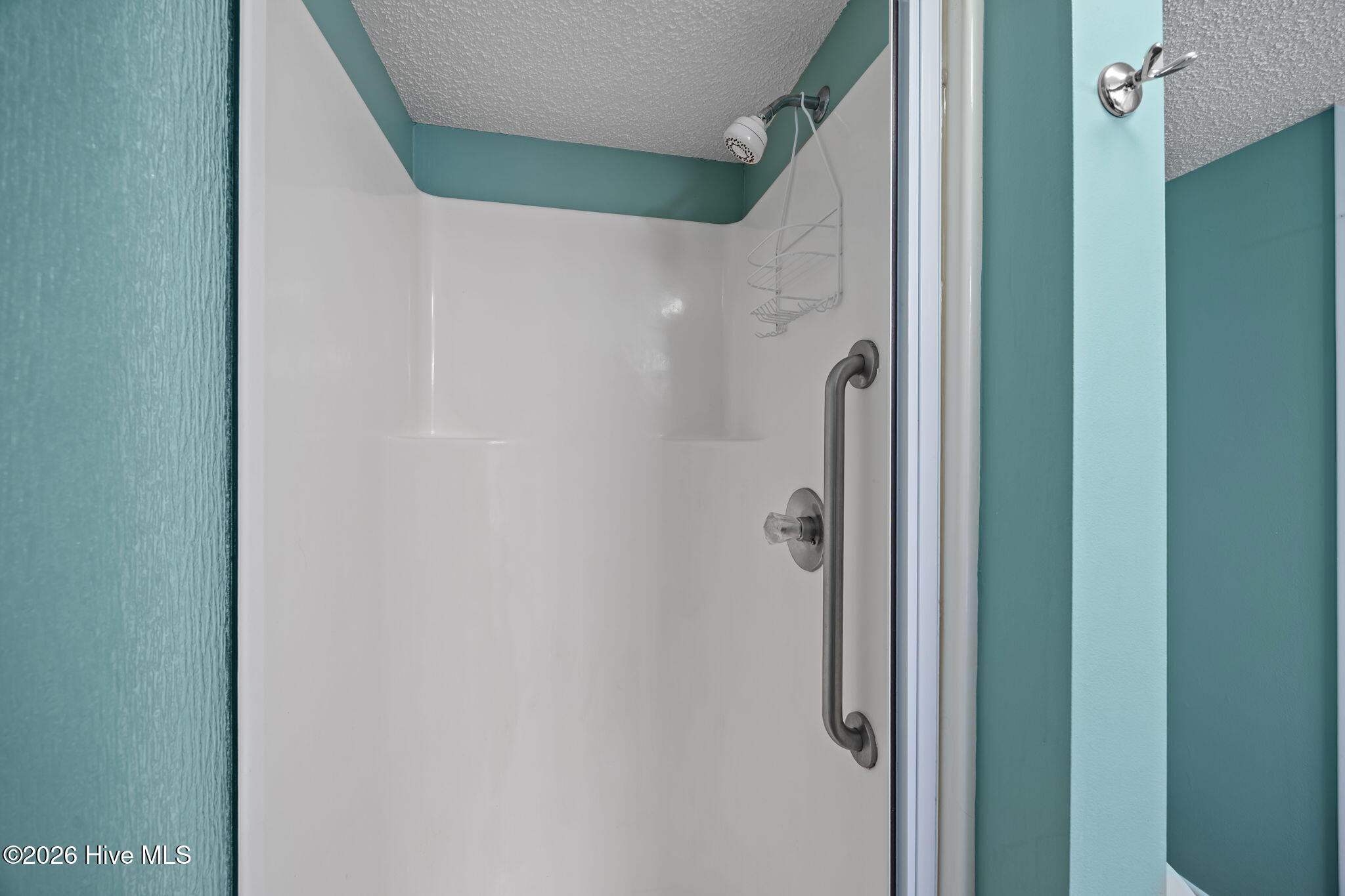 100565506 | Photo 27