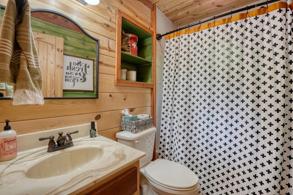 529 Talulu Pass, Murphy, NC 28906 Listing Photo  30