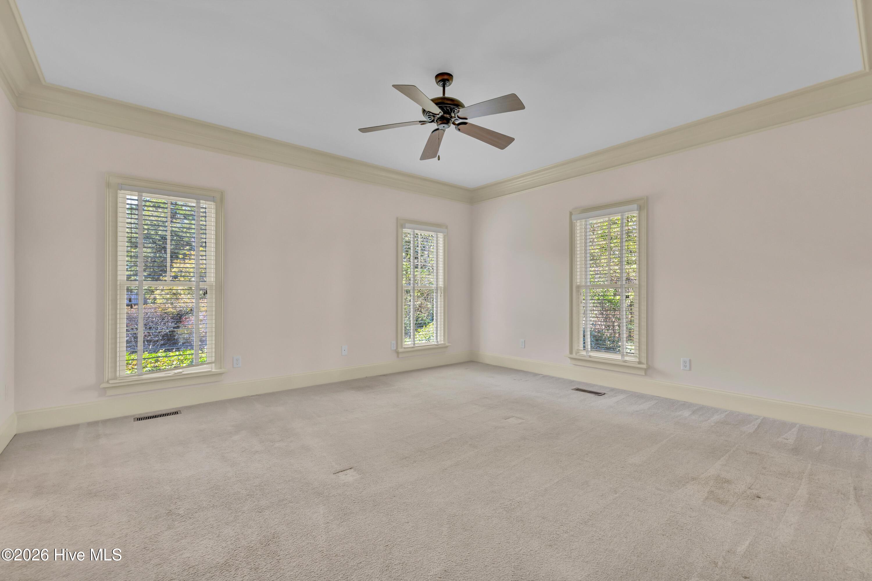 100556623 | Photo 22