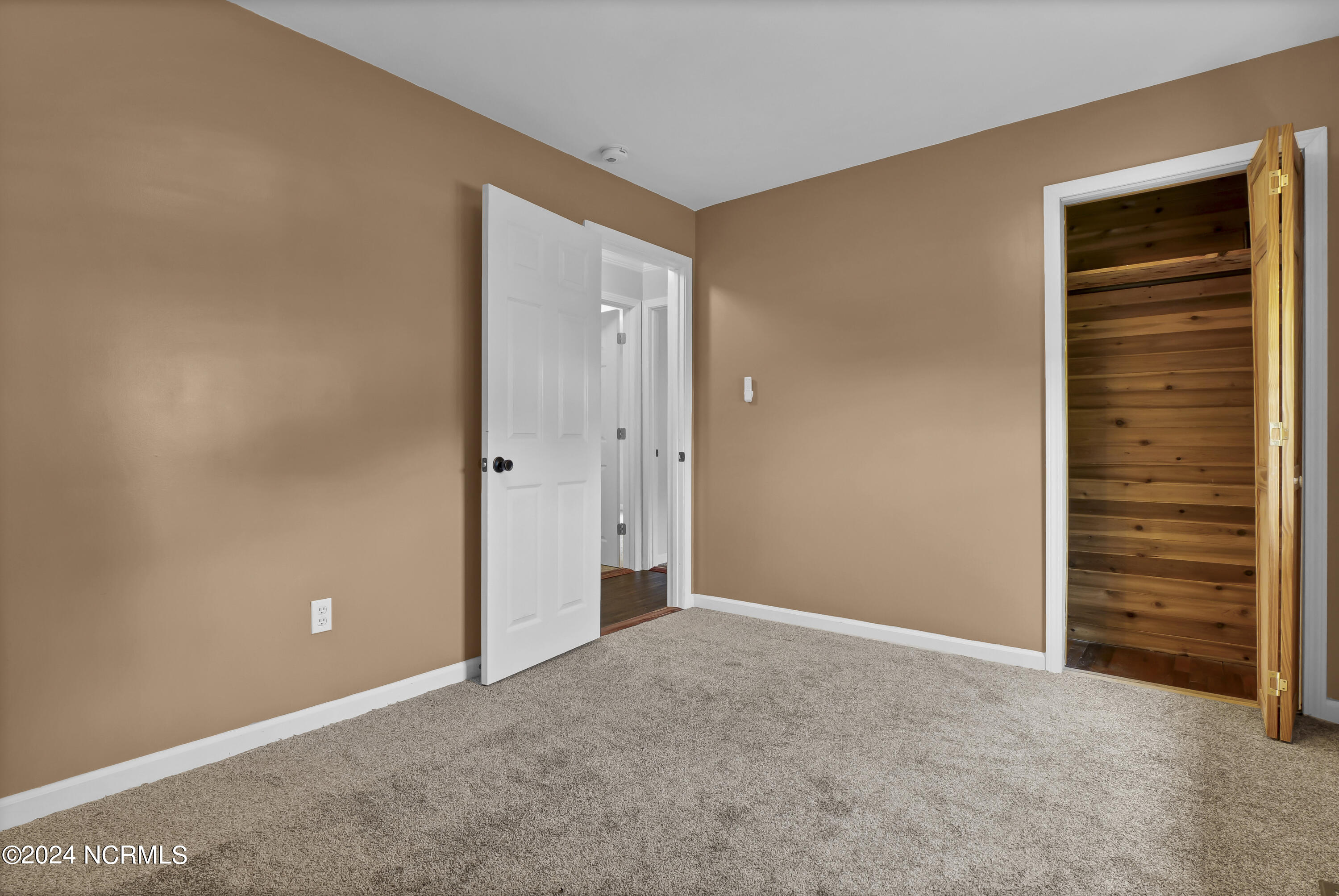 100546361 | Photo 20