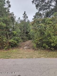 Lot 14b Lbk Circle, Tignall, GA, 30668