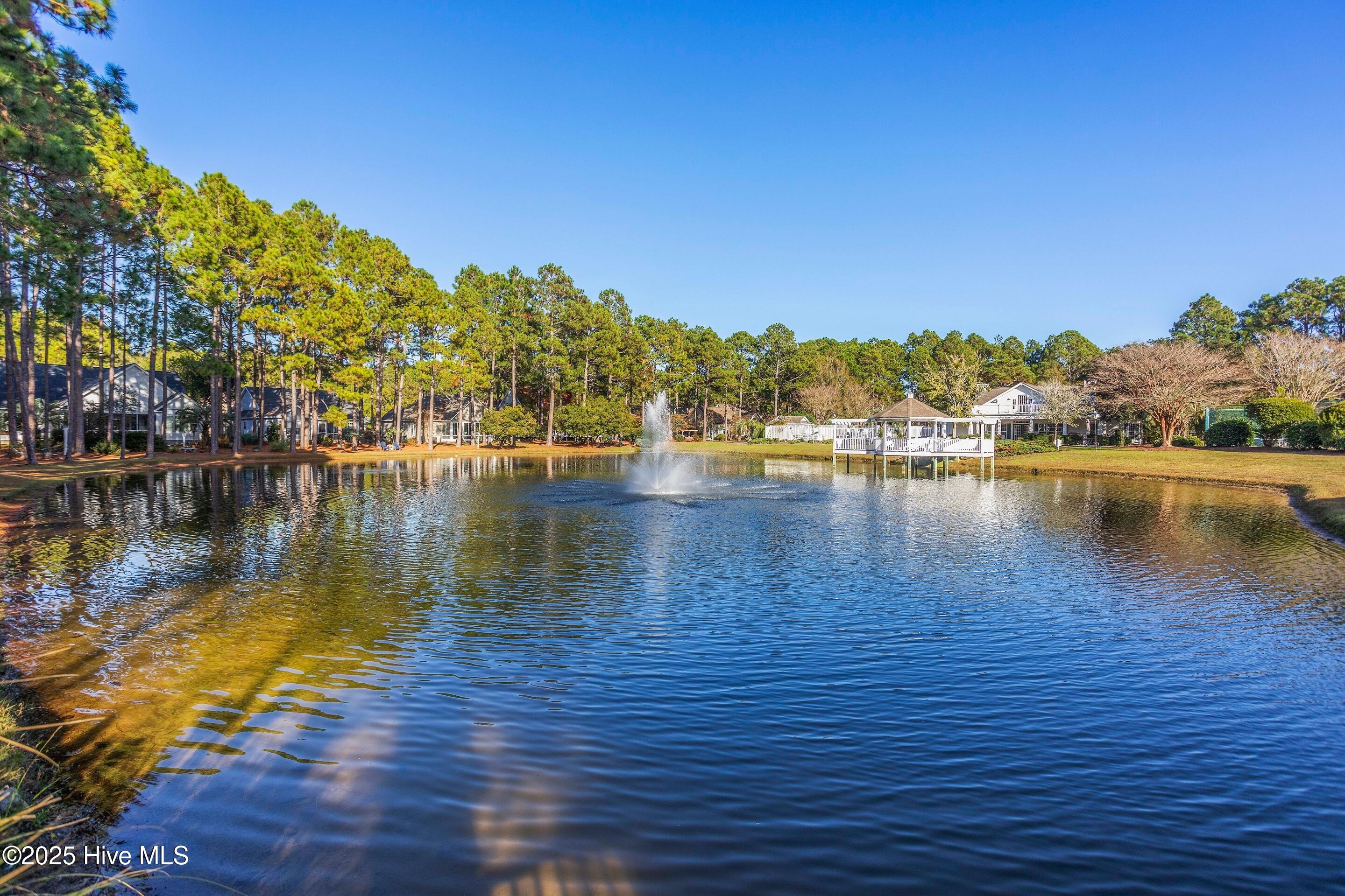 100525982 | Photo 70