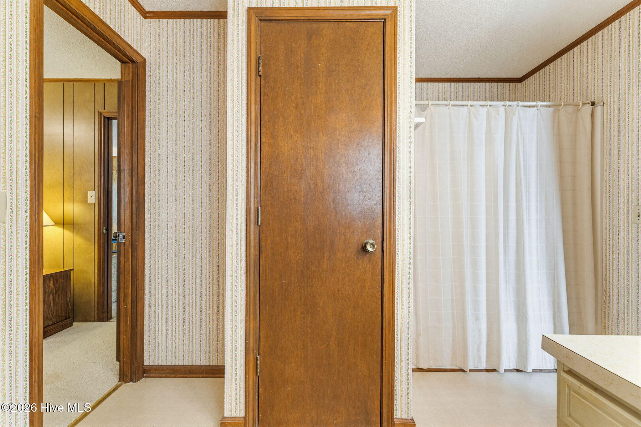 100565875 | Photo 23