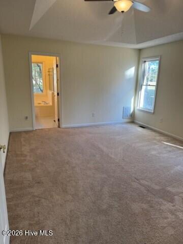 100531388 | Photo 21