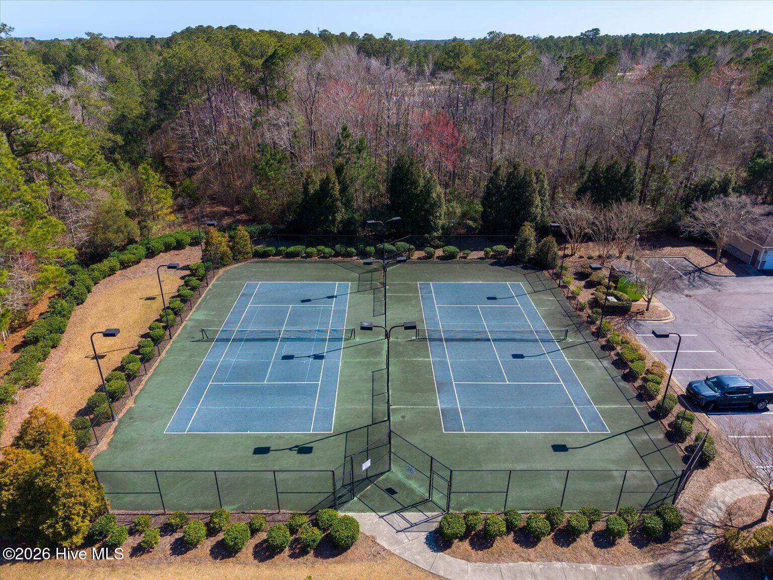 100558706 | Photo 35