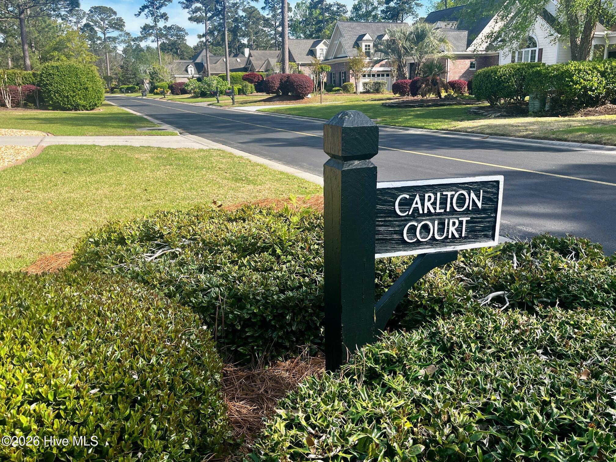 100566129 | Photo 40