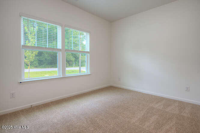 100525166 | Photo 20