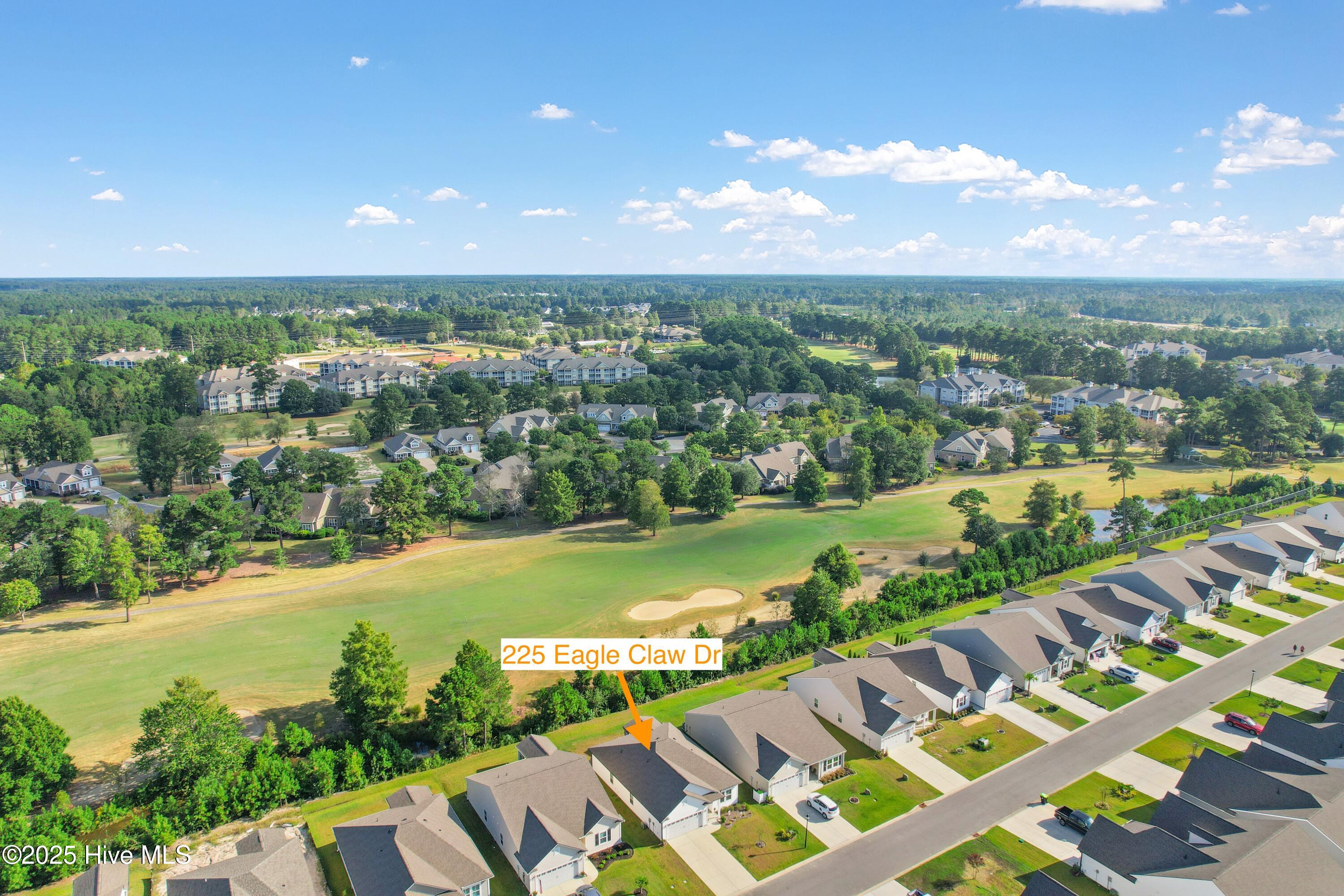 100532742 | Photo 35