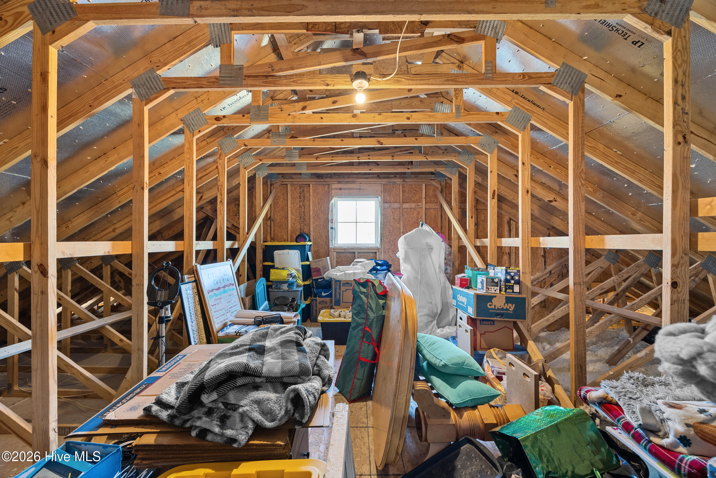 100564447 | Photo 66