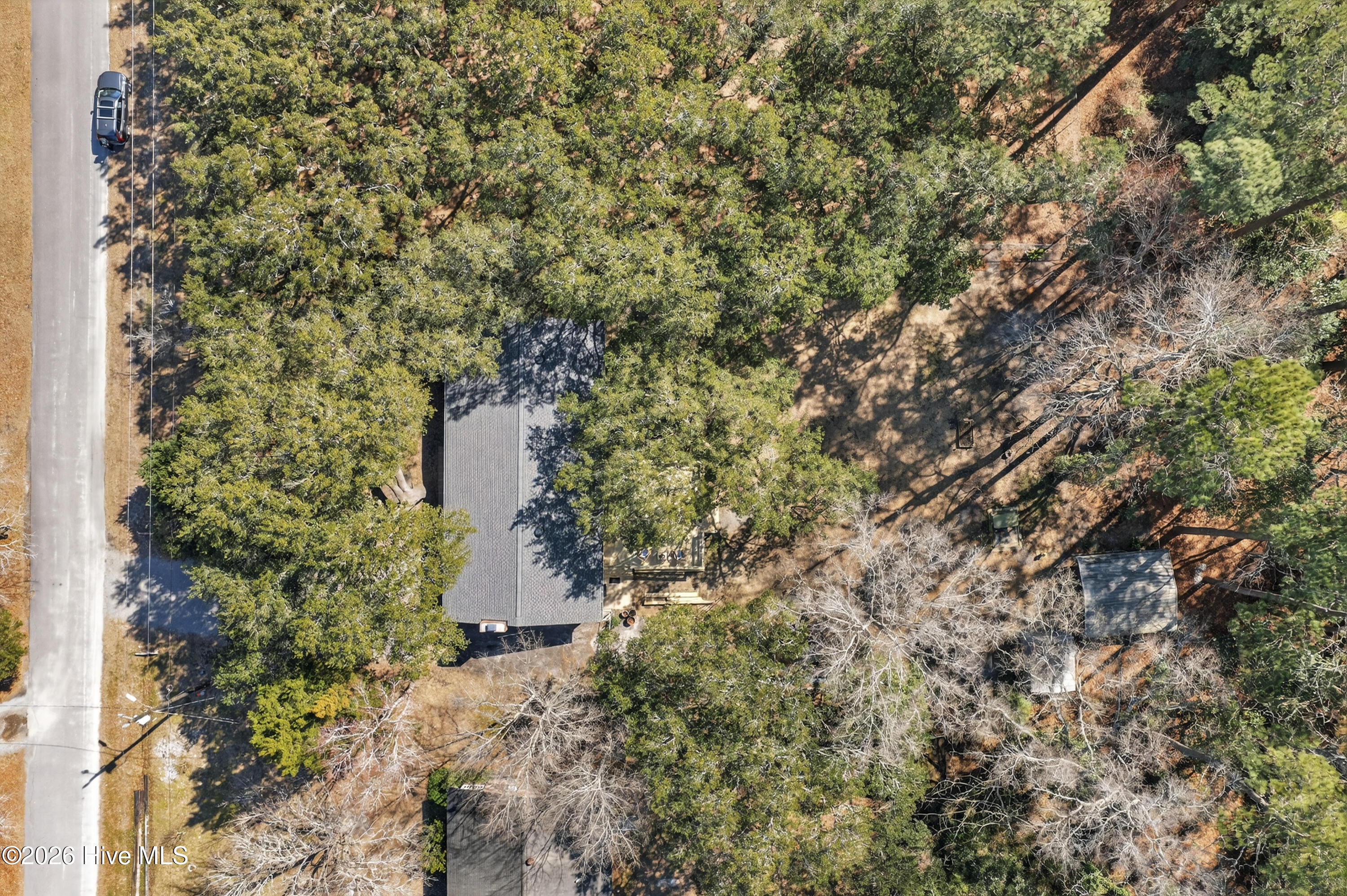 100556651 | Photo 30